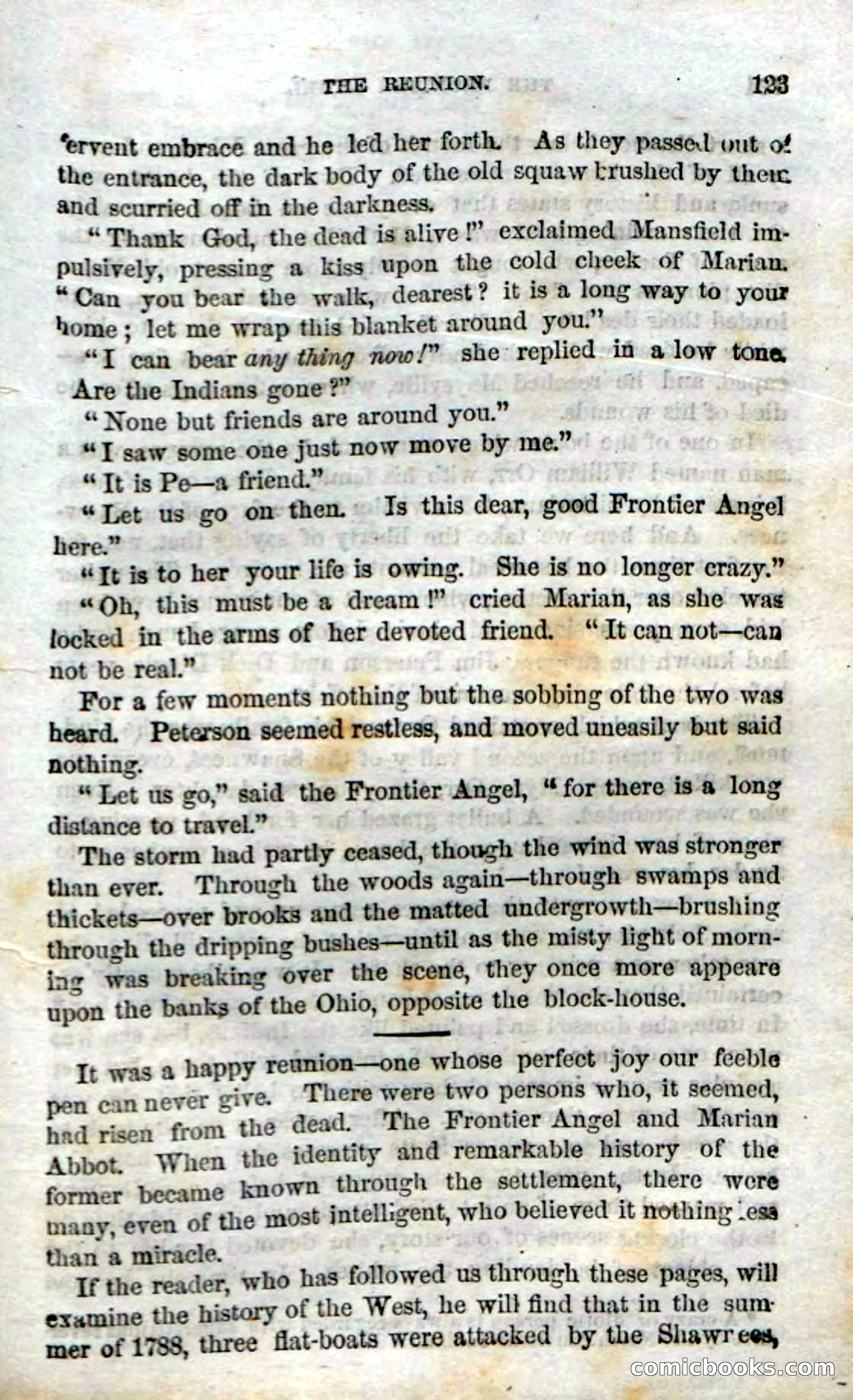 Beadle's Dime Novels No. 15: The Frontier Angel — page 125 of 132