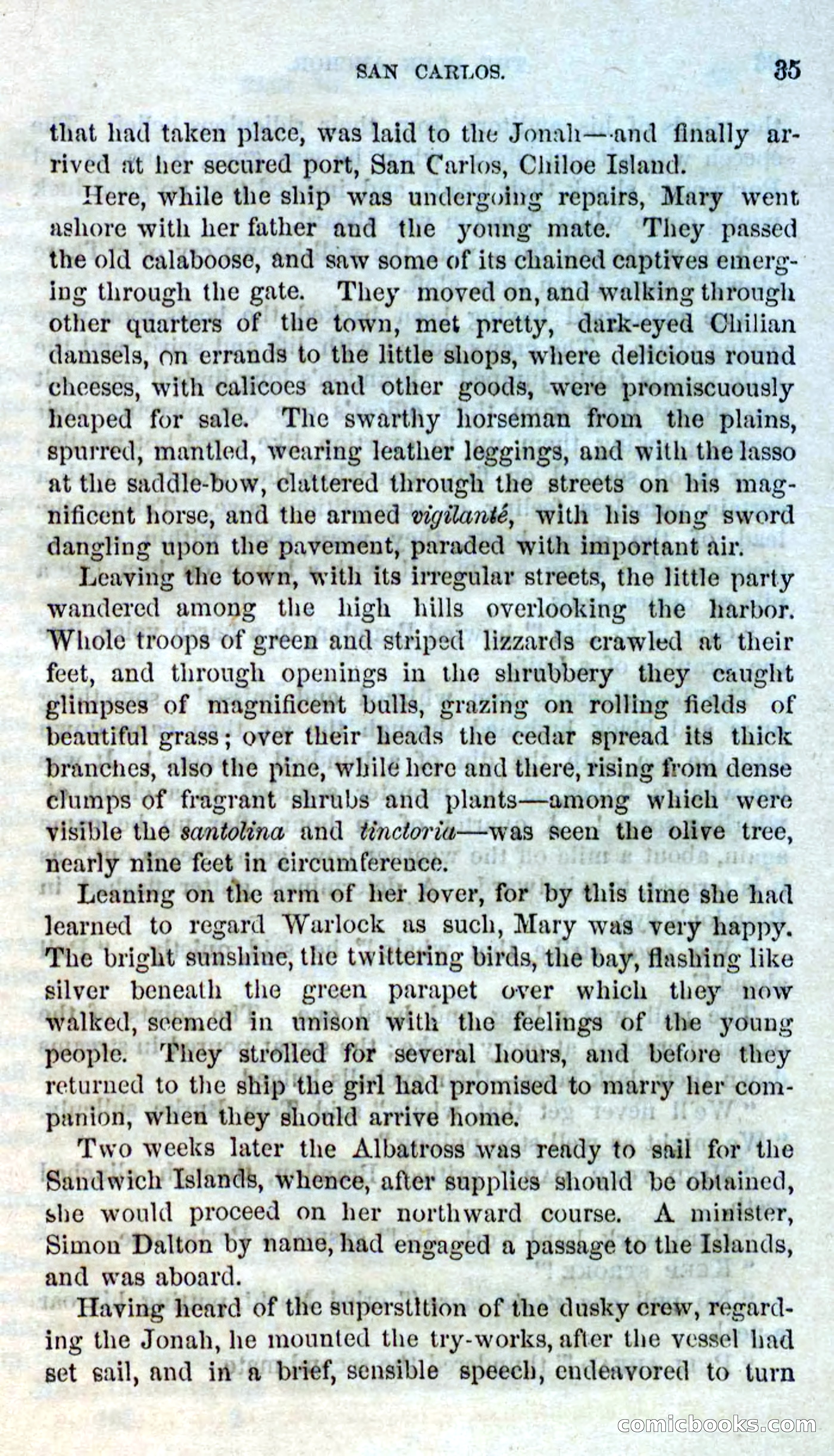 Beadle's Dime Novels No. 158: The Blue Anchor — page 33 of 108