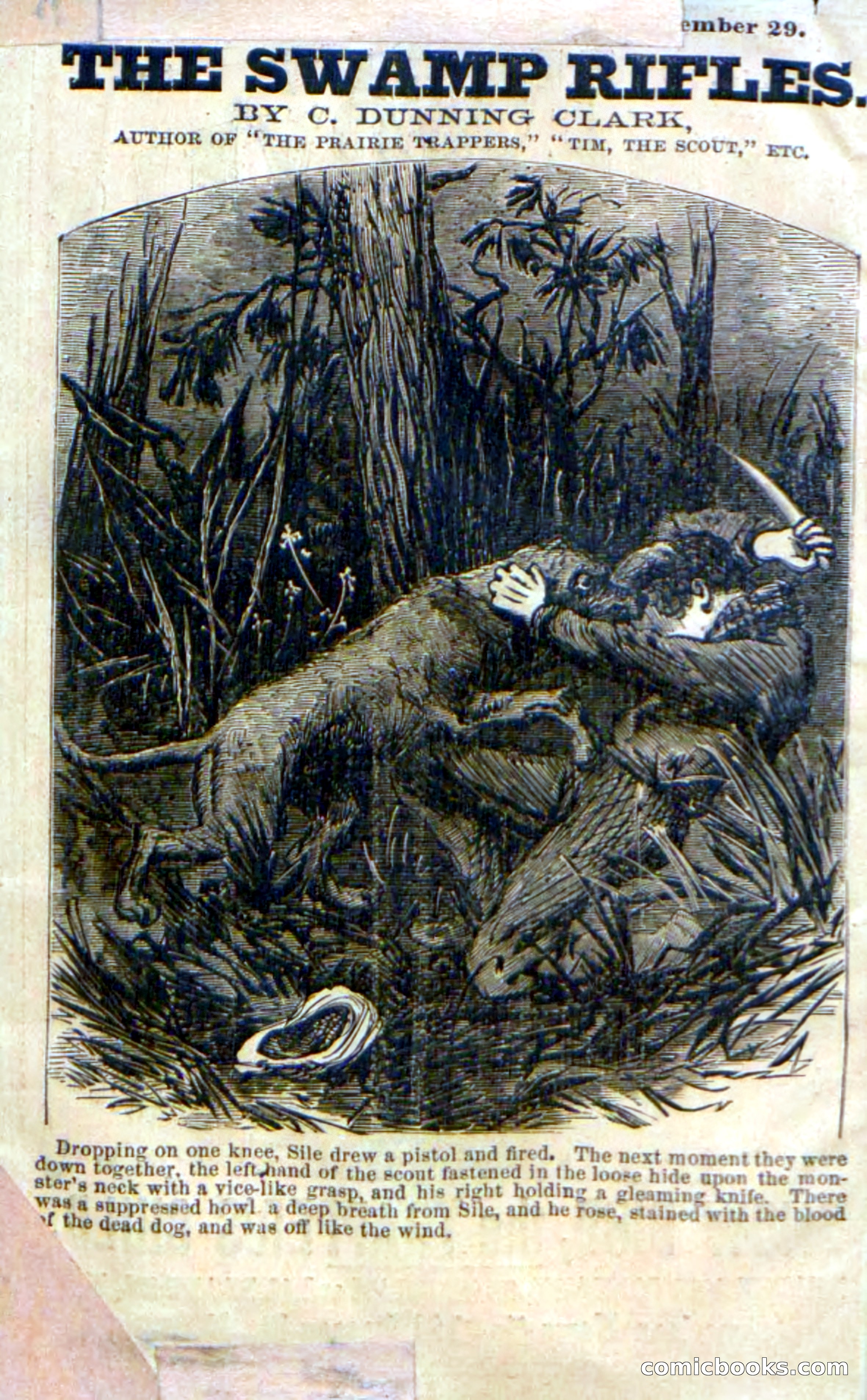 Beadle's Dime Novels No. 159: Snow Bird, the Trapper's Child — page 2 of 116