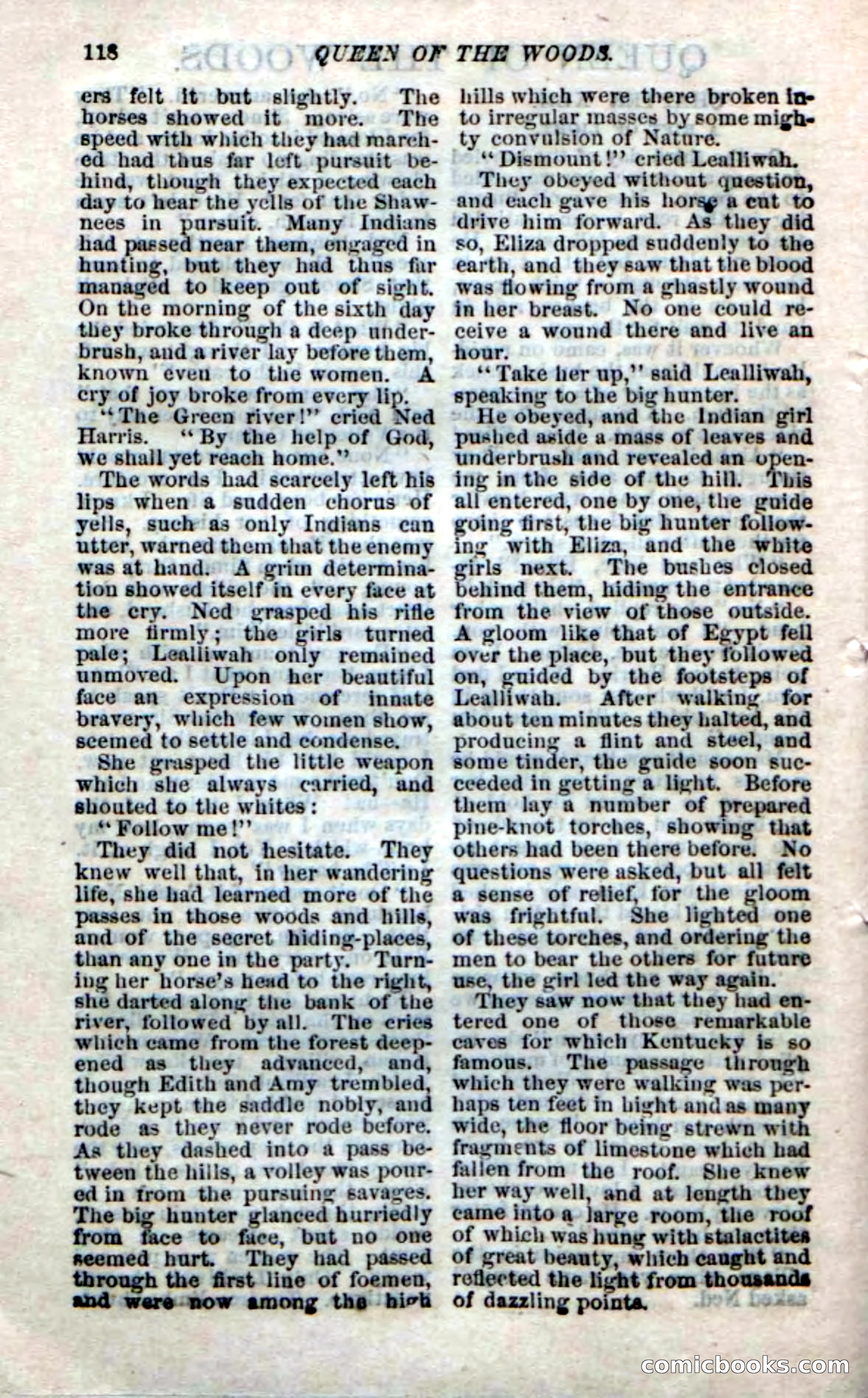 Beadle's Dime Novels No. 159: Snow Bird, the Trapper's Child — page 102 of 116
