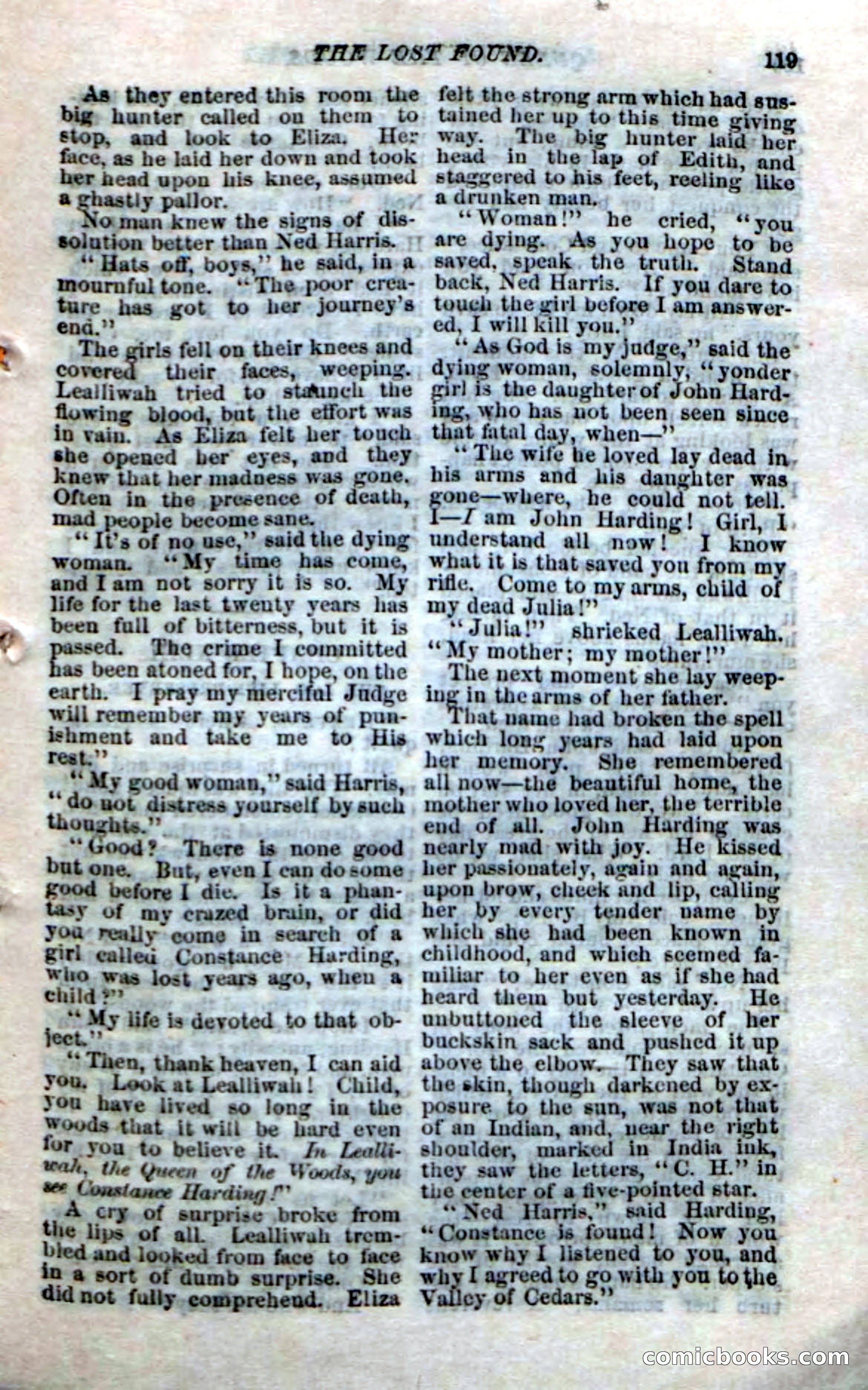 Beadle's Dime Novels No. 159: Snow Bird, the Trapper's Child — page 103 of 116
