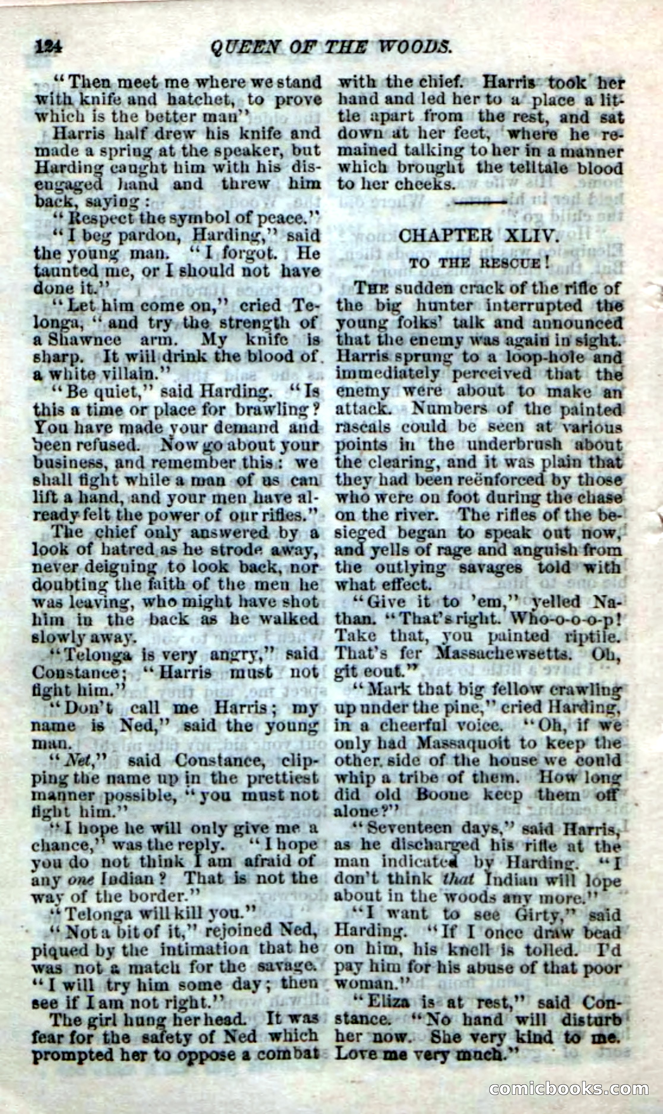 Beadle's Dime Novels No. 159: Snow Bird, the Trapper's Child — page 108 of 116