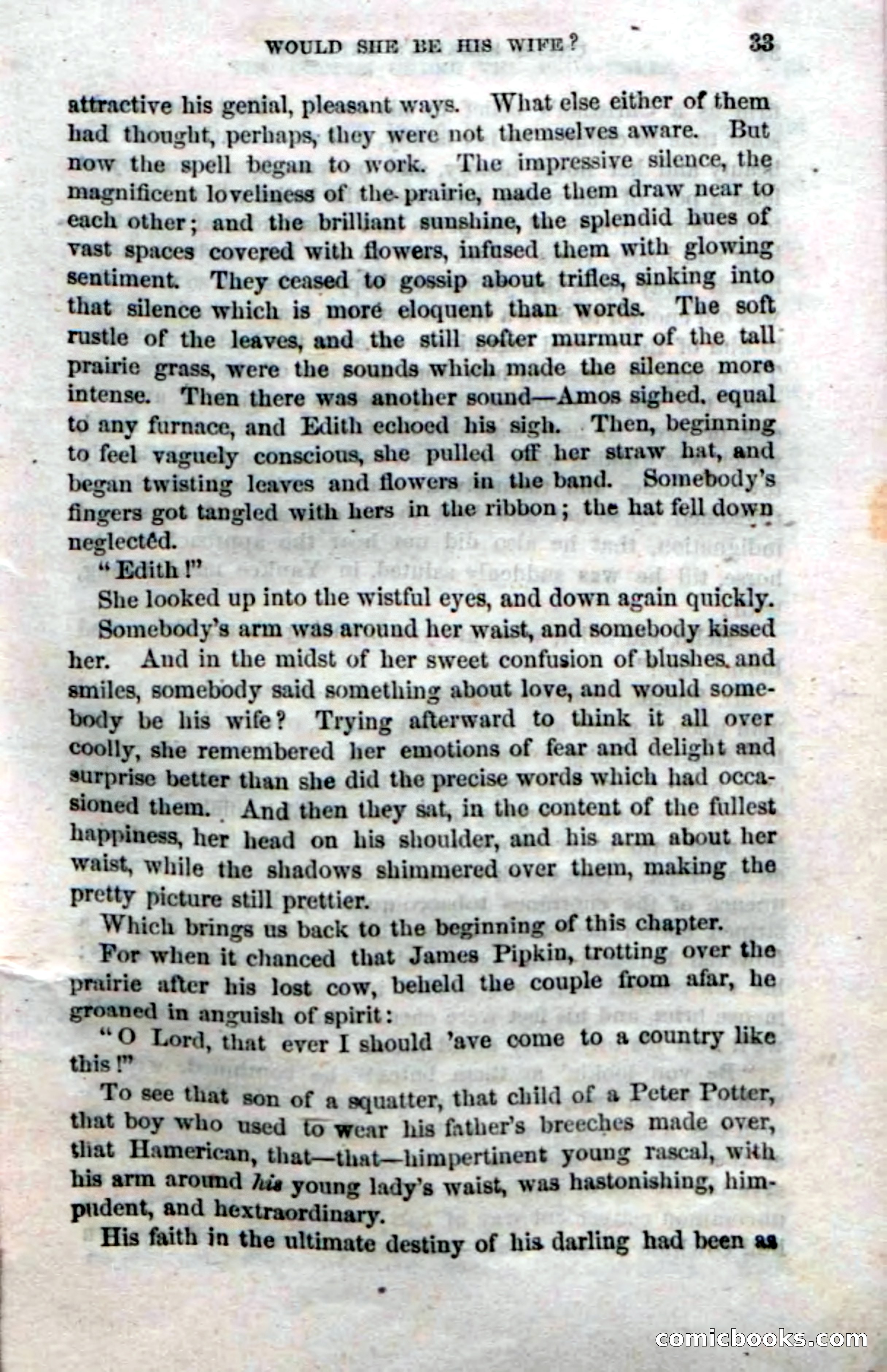 Beadle's Dime Novels No. 16 — page 35 of 132