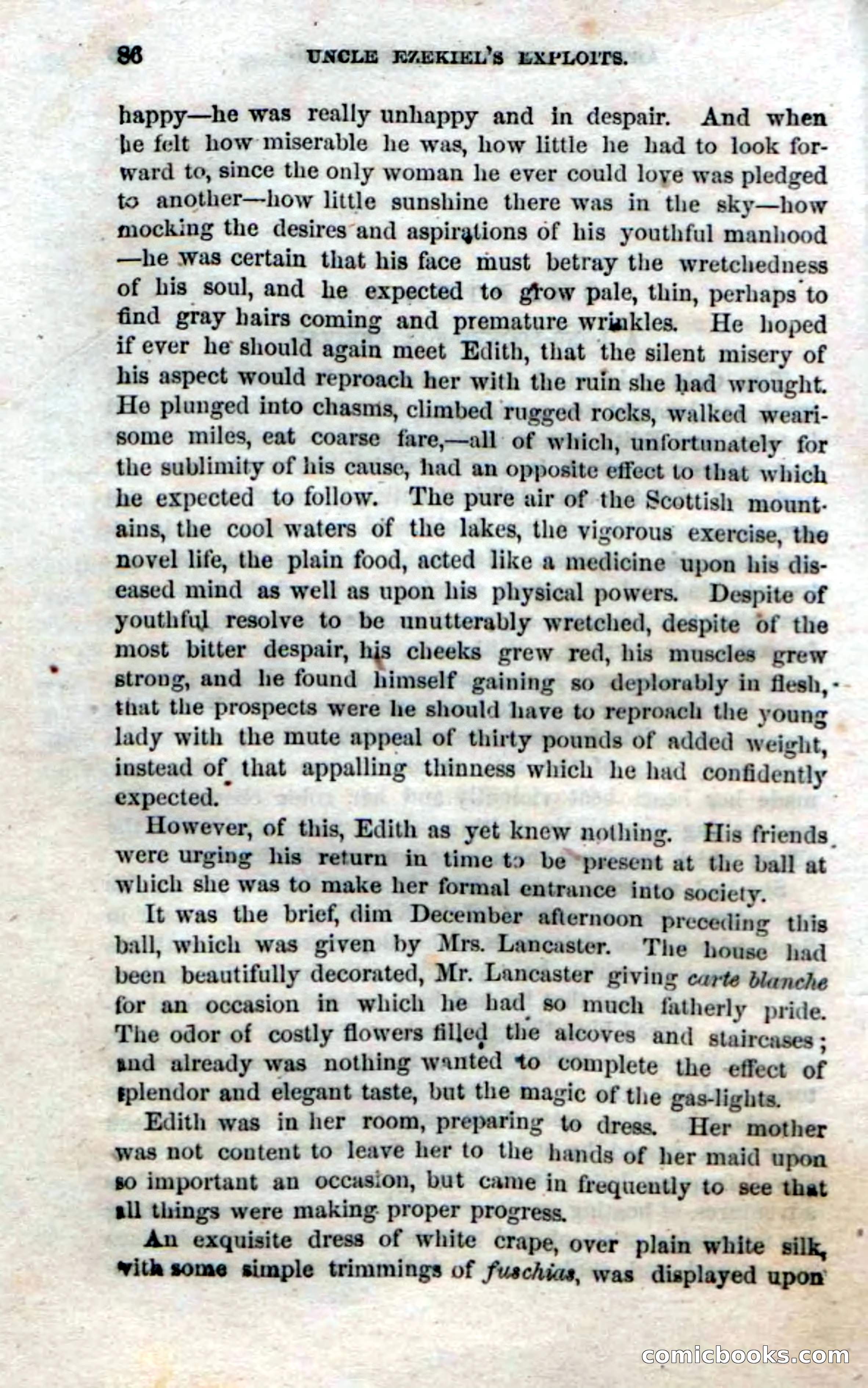 Beadle's Dime Novels No. 16 — page 88 of 132