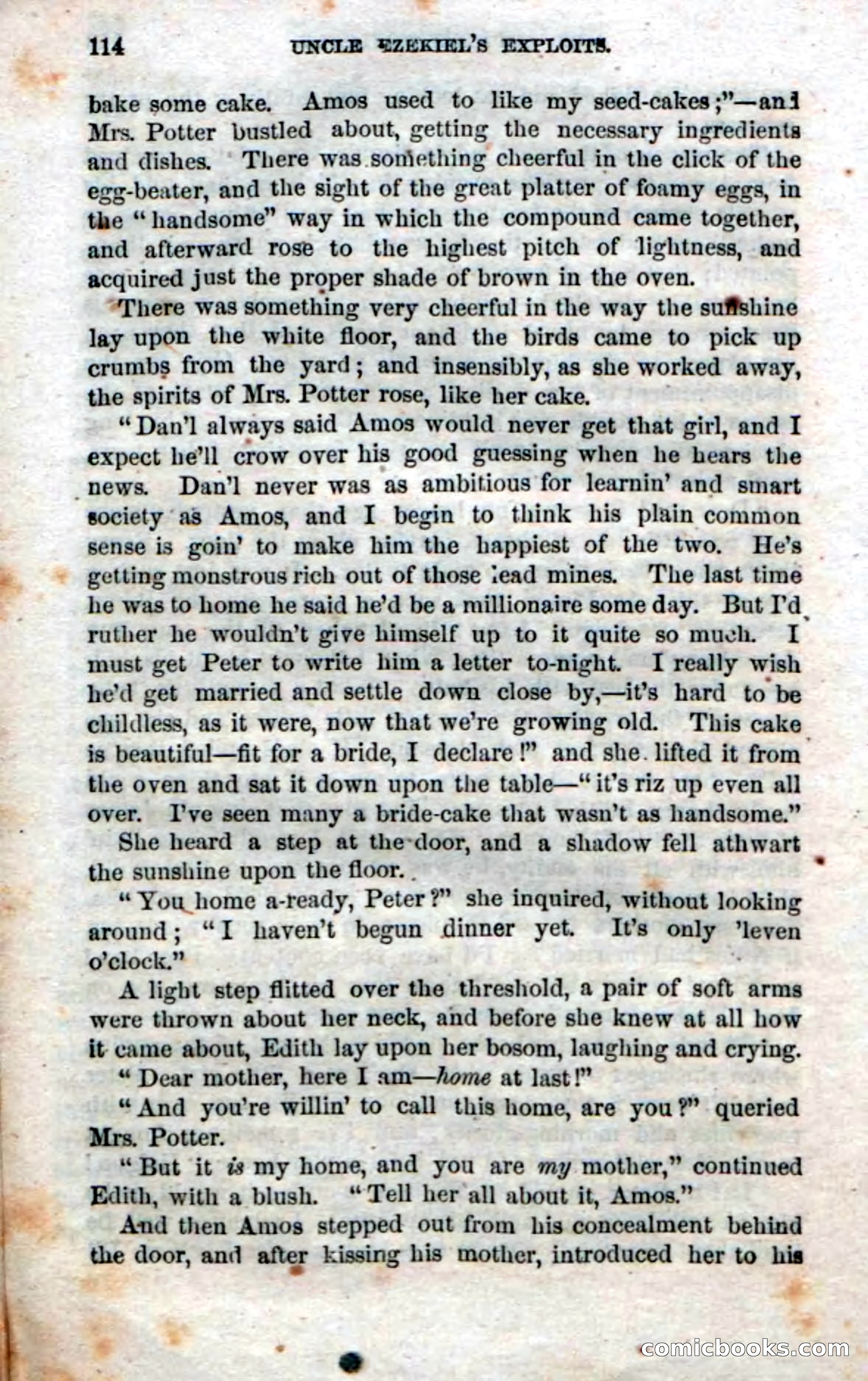 Beadle's Dime Novels No. 16 — page 116 of 132
