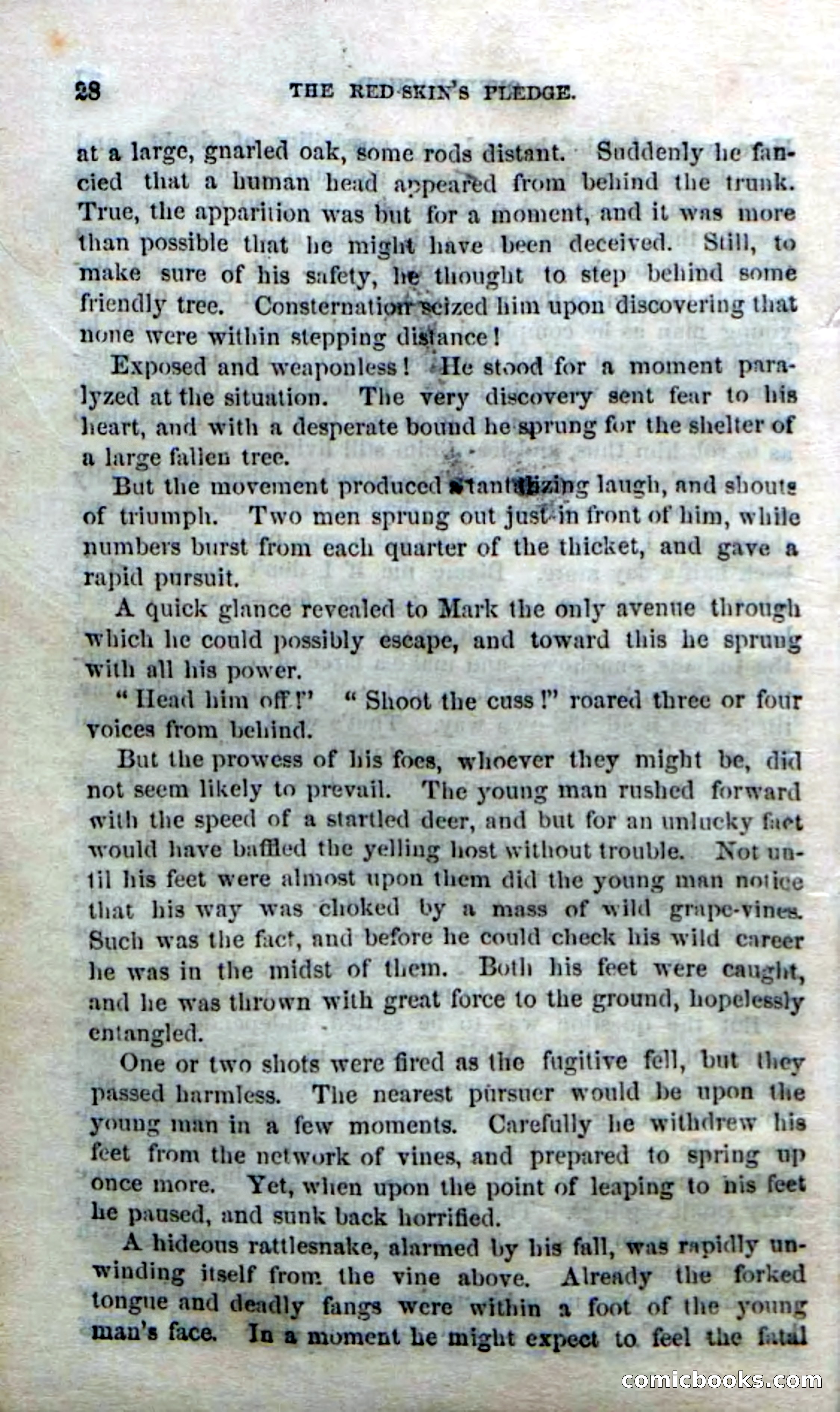 Beadle's Dime Novels No. 166: Red-Skin's Pledge — page 26 of 100