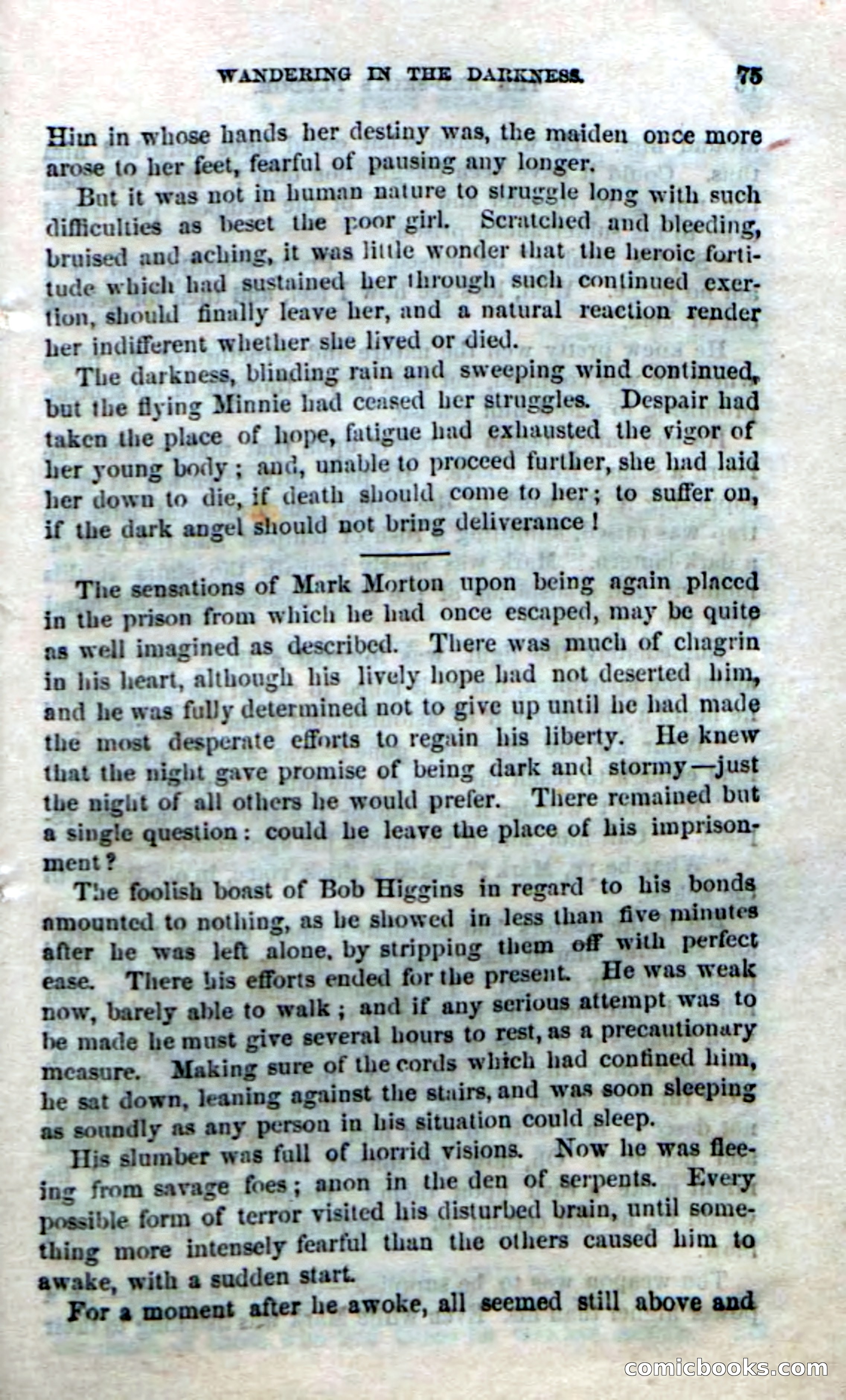 Beadle's Dime Novels No. 166: Red-Skin's Pledge — page 73 of 100
