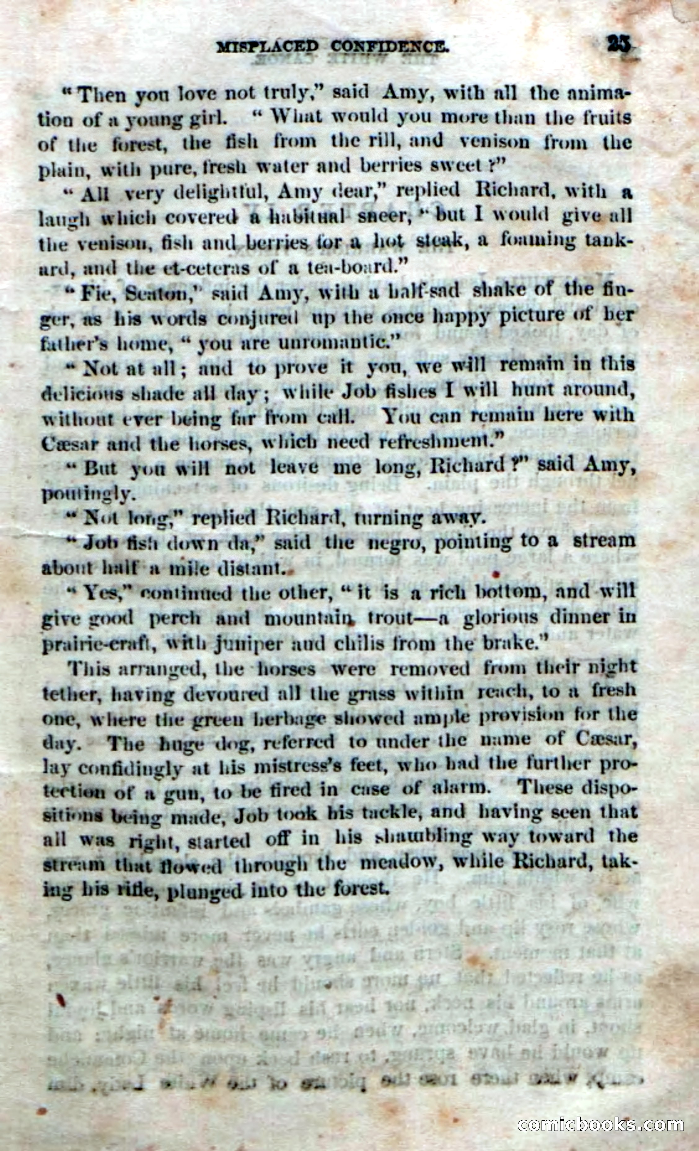 Beadle's Dime Novels No. 169 — page 21 of 94