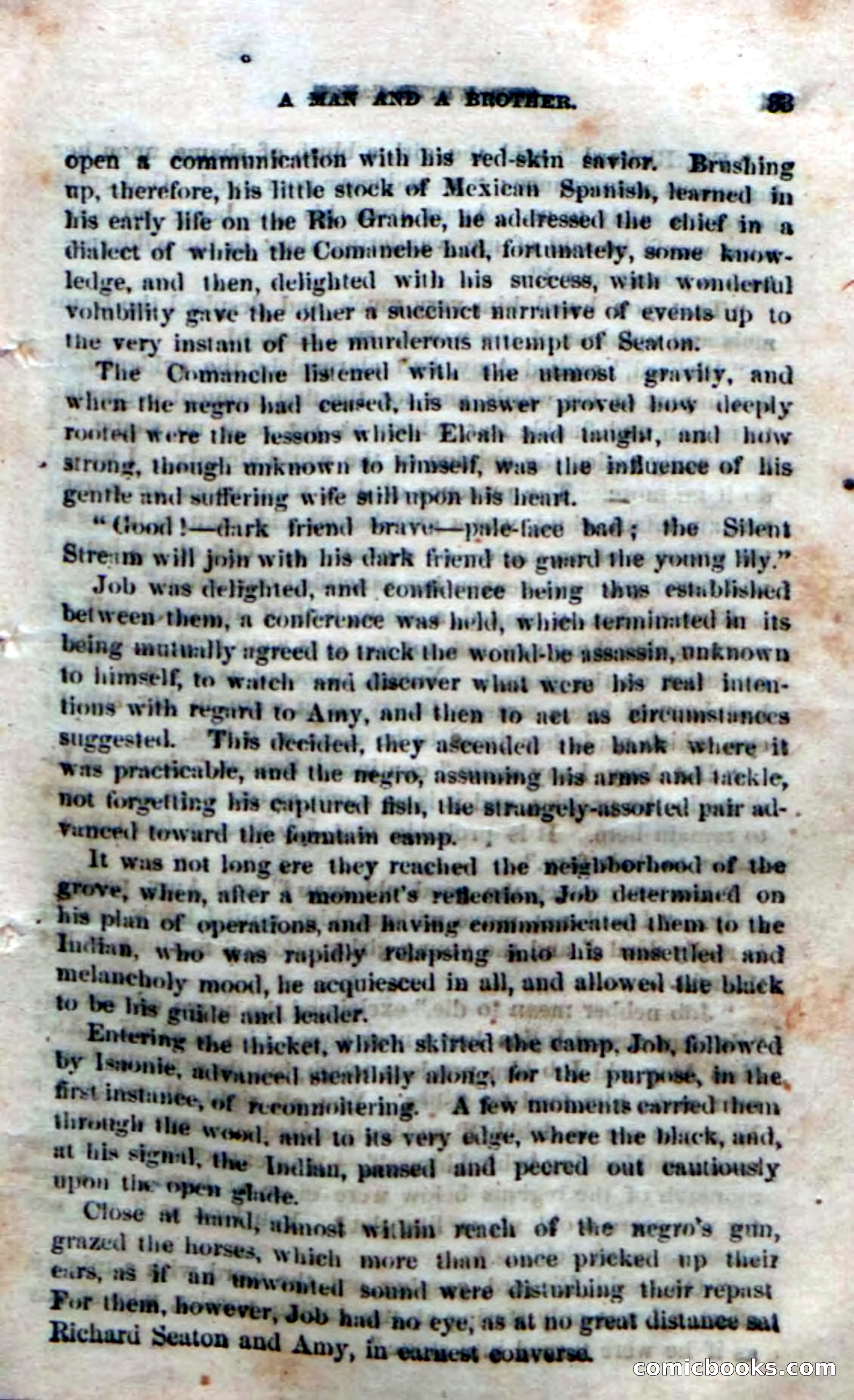 Beadle's Dime Novels No. 169 — page 29 of 94