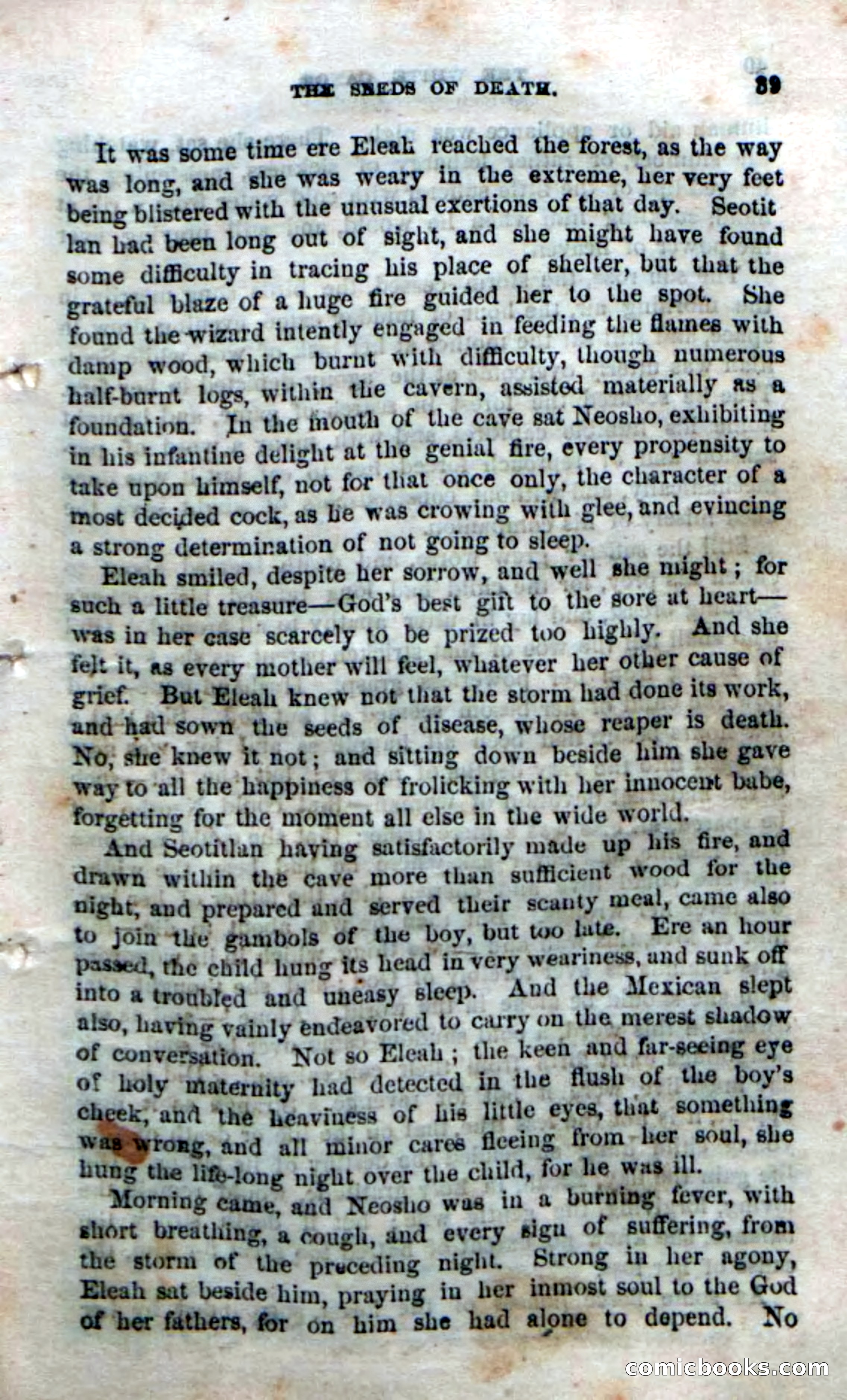 Beadle's Dime Novels No. 169 — page 35 of 94