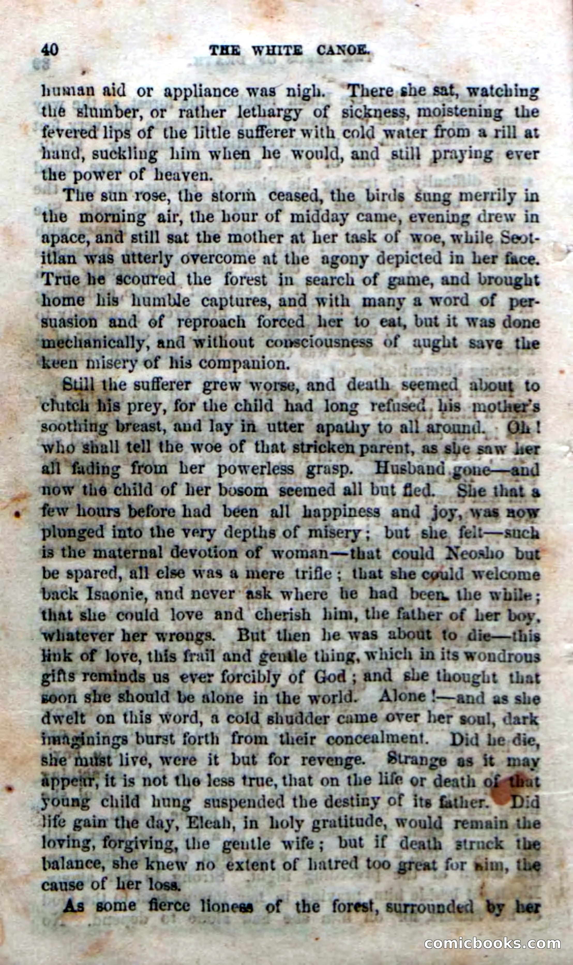 Beadle's Dime Novels No. 169 — page 36 of 94