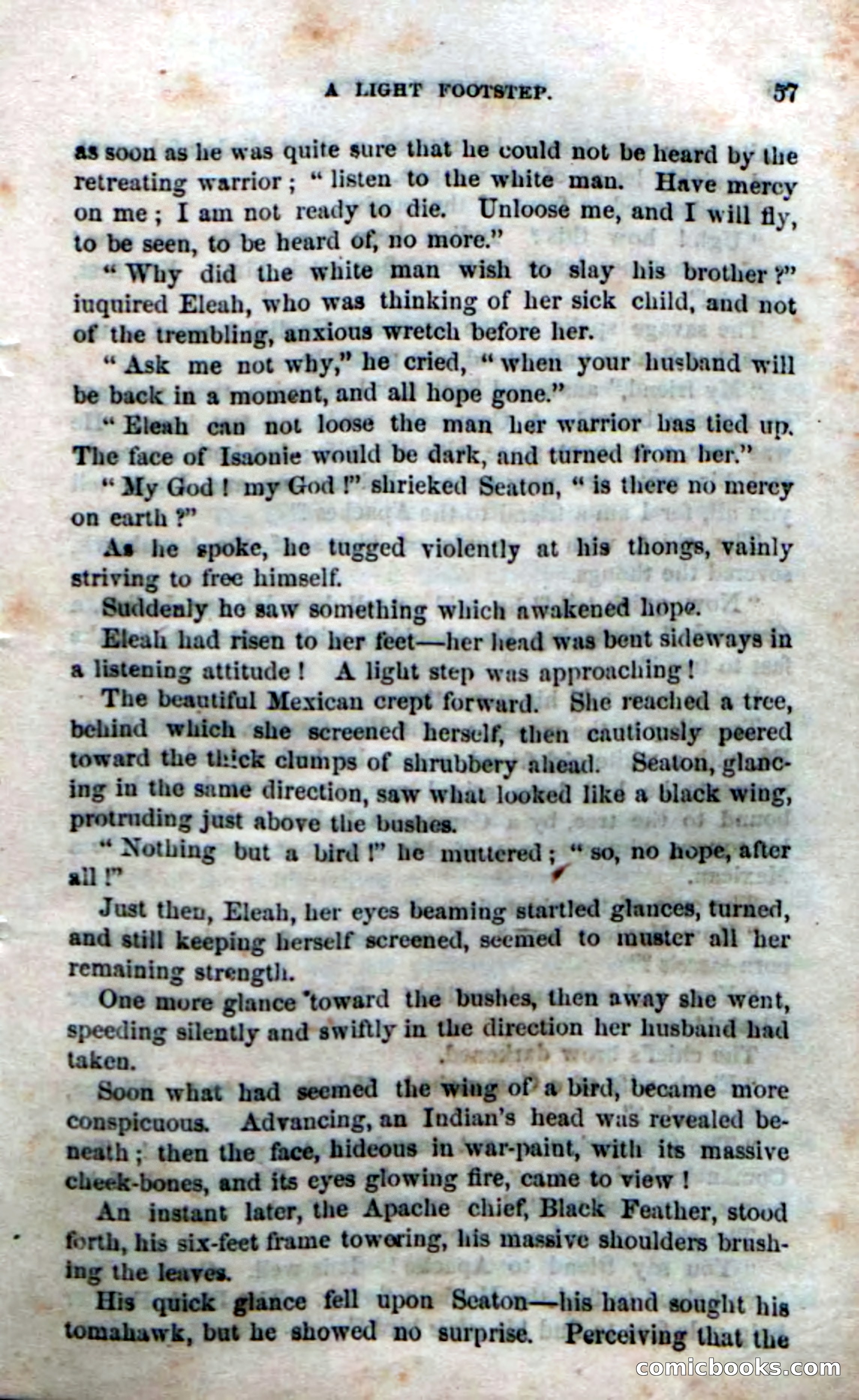 Beadle's Dime Novels No. 169 — page 53 of 94