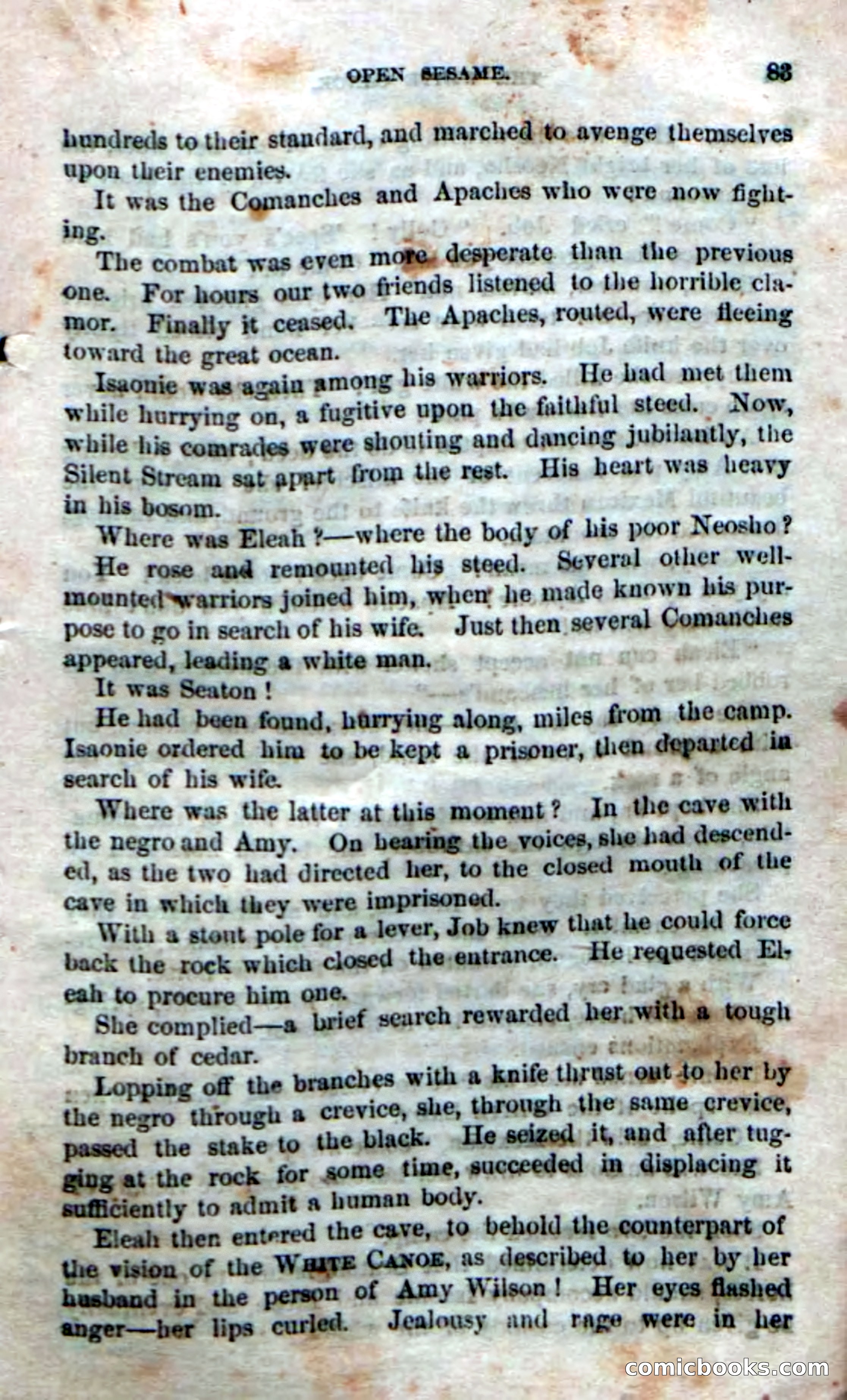 Beadle's Dime Novels No. 169 — page 79 of 94