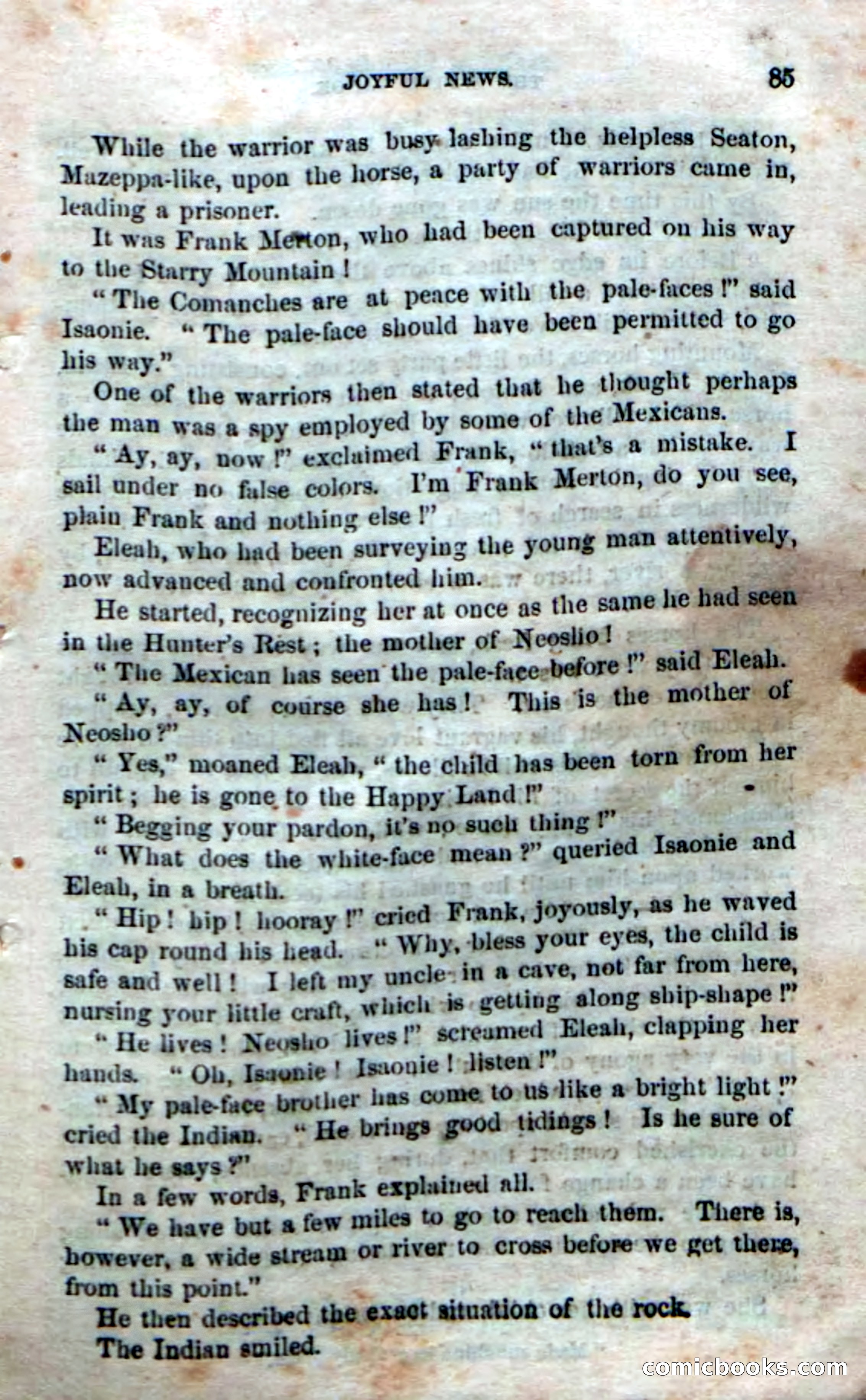 Beadle's Dime Novels No. 169 — page 81 of 94