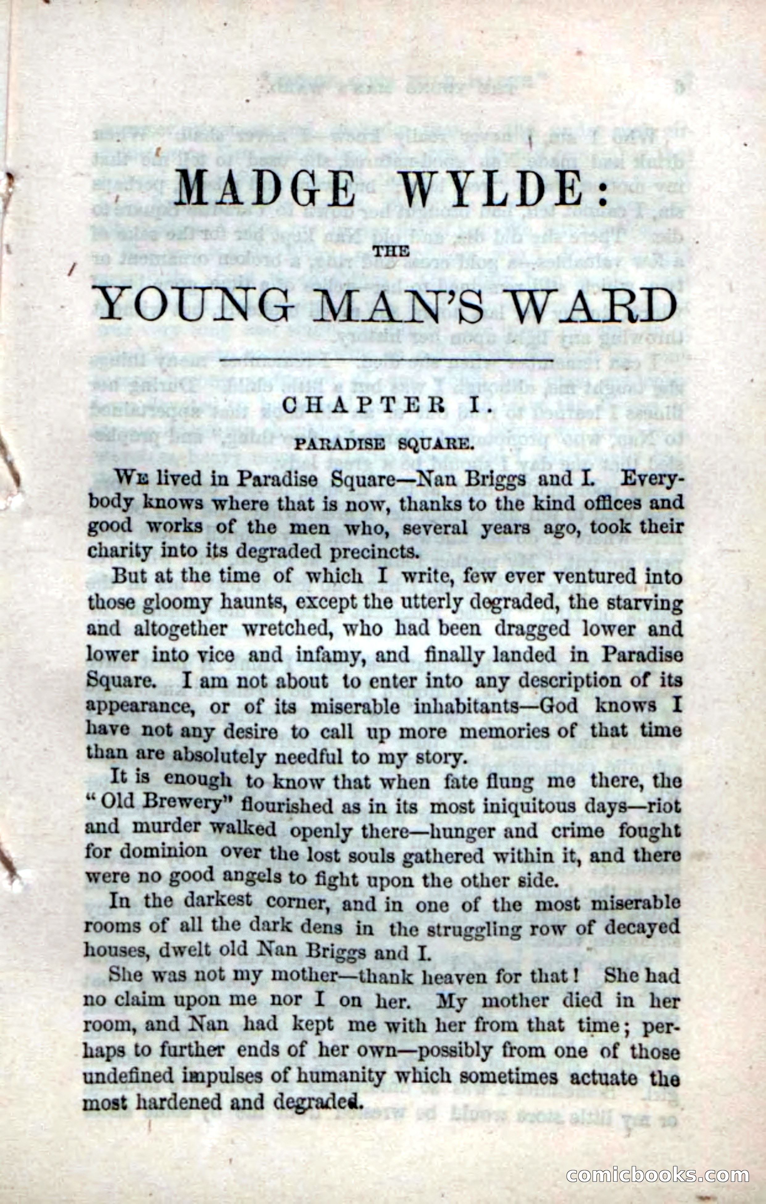Beadle's Dime Novels No. 17 — page 7 of 132