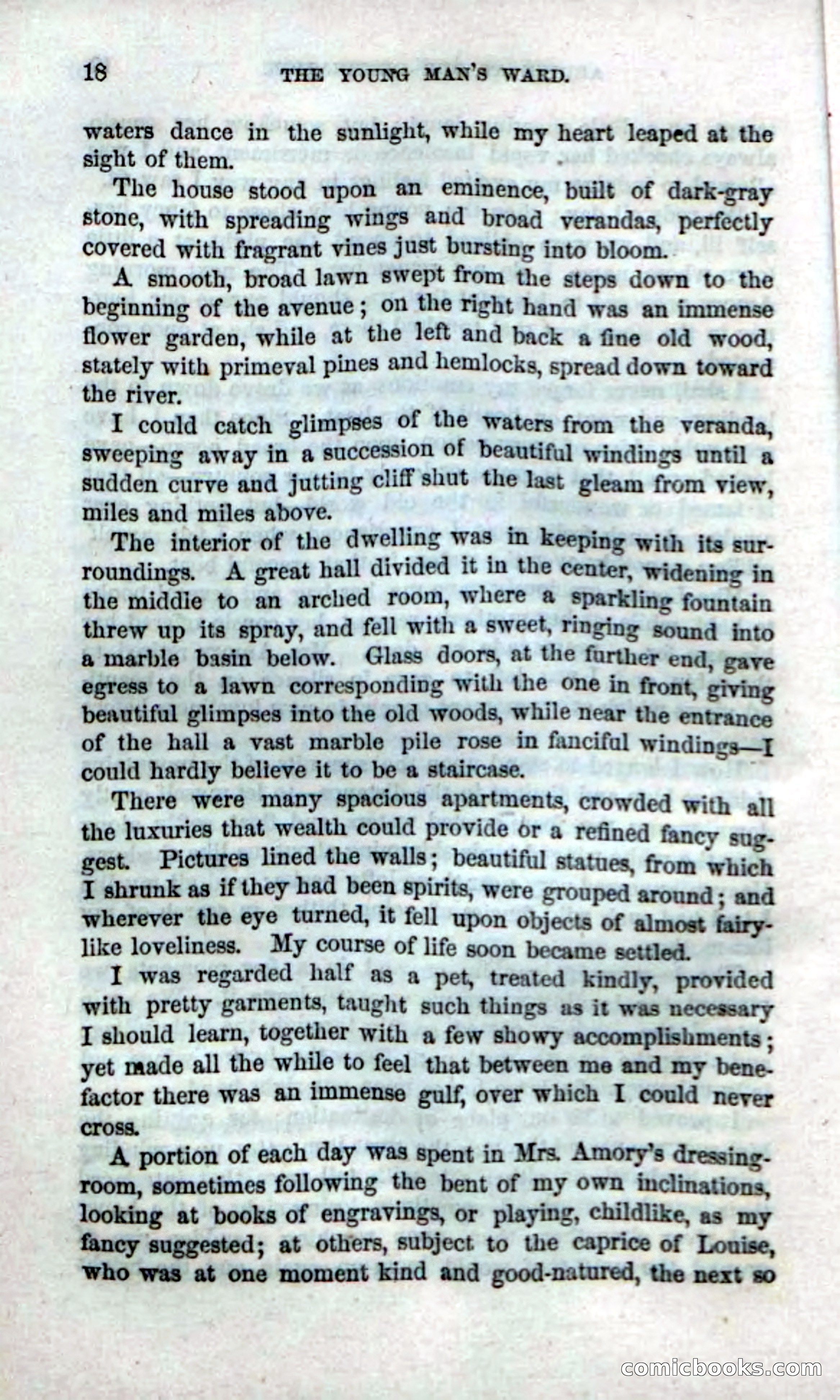 Beadle's Dime Novels No. 17 — page 20 of 132