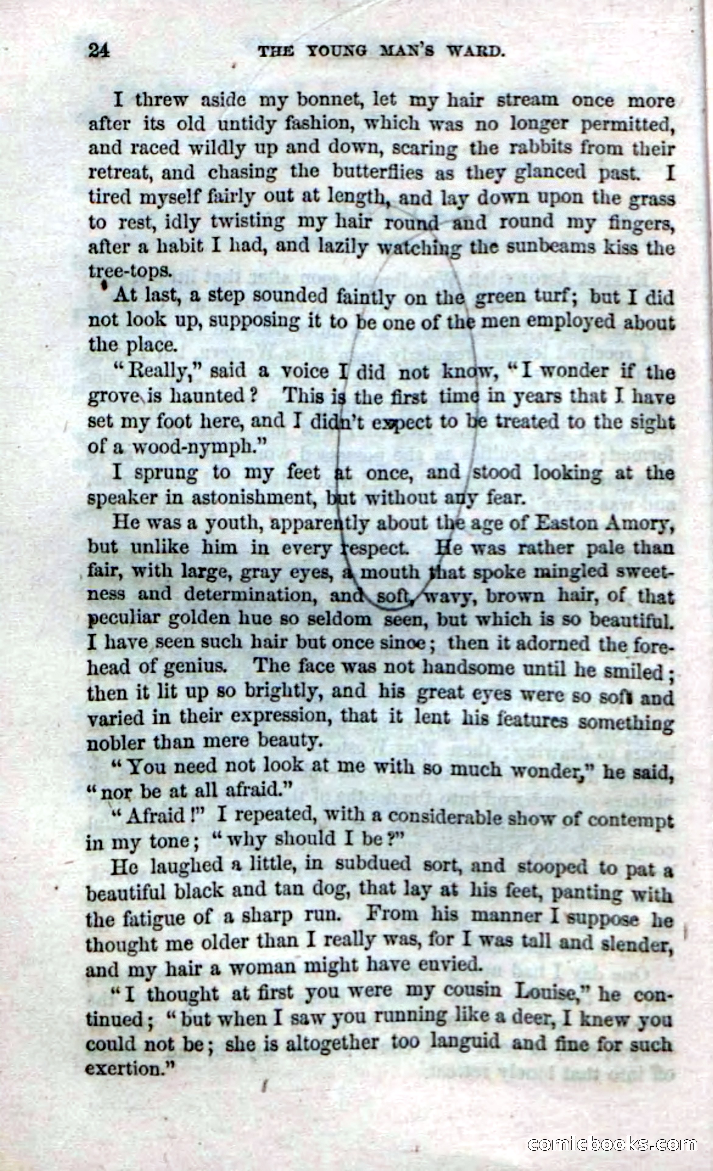 Beadle's Dime Novels No. 17 — page 26 of 132
