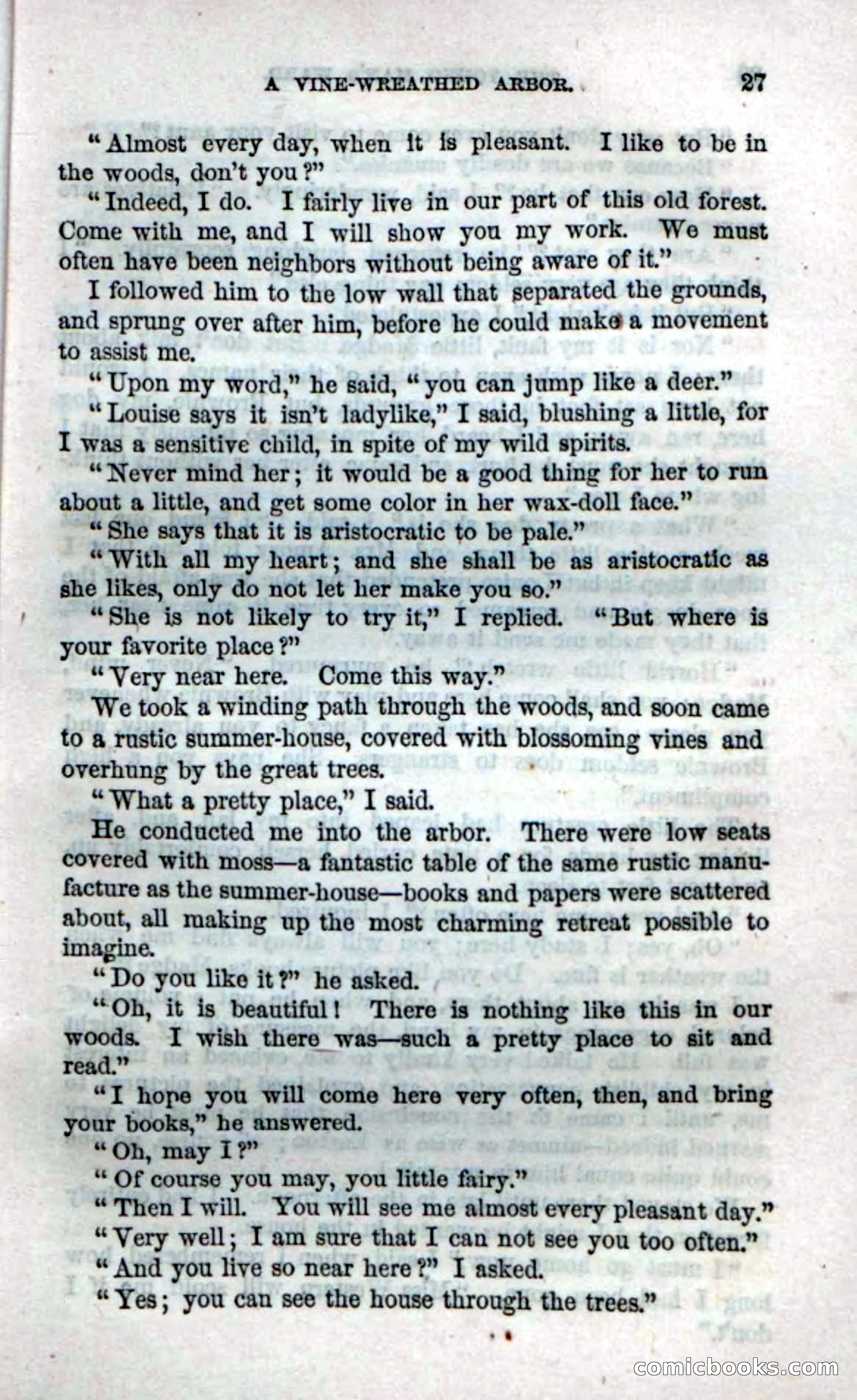 Beadle's Dime Novels No. 17 — page 29 of 132