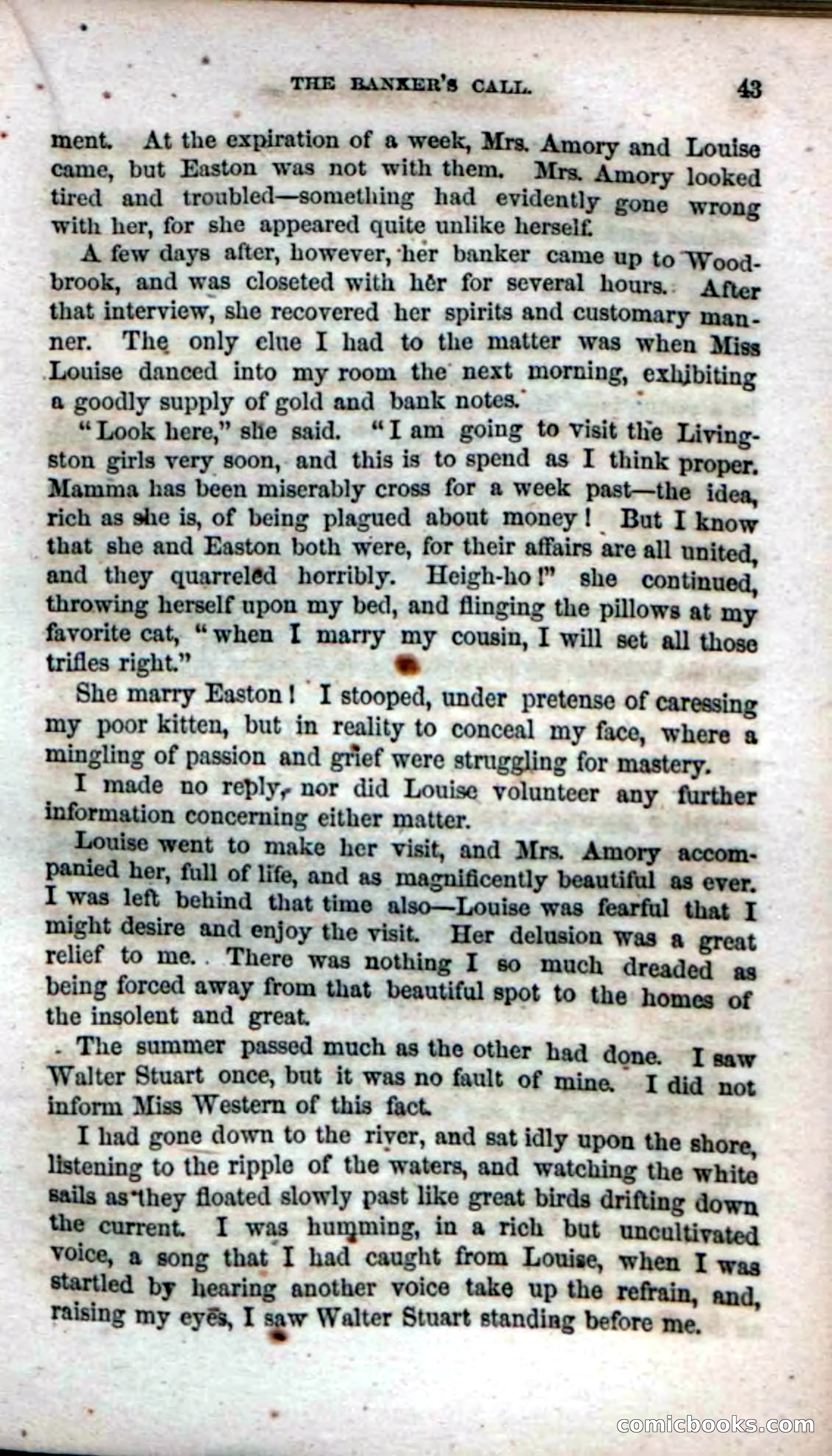 Beadle's Dime Novels No. 17 — page 45 of 132