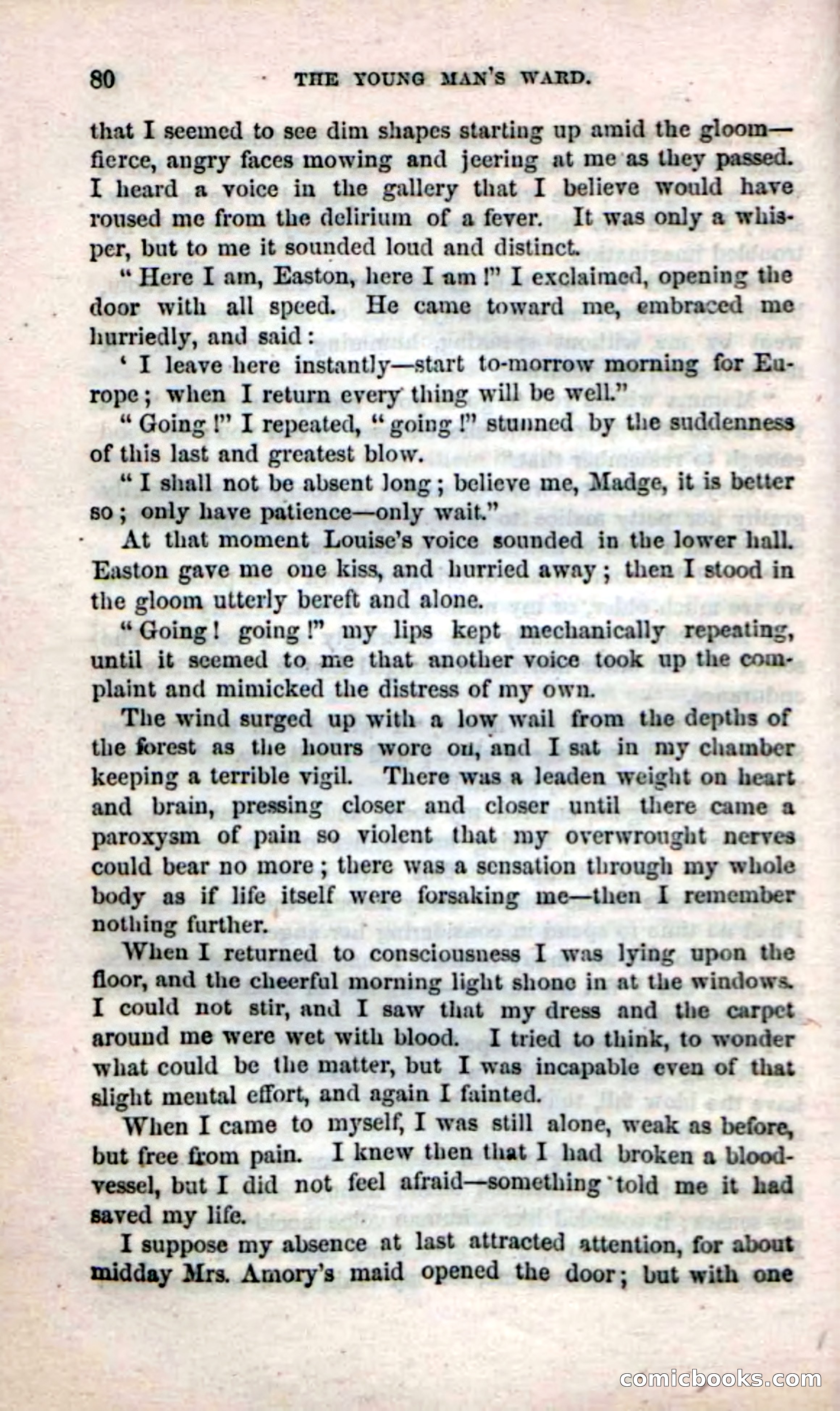 Beadle's Dime Novels No. 17 — page 82 of 132