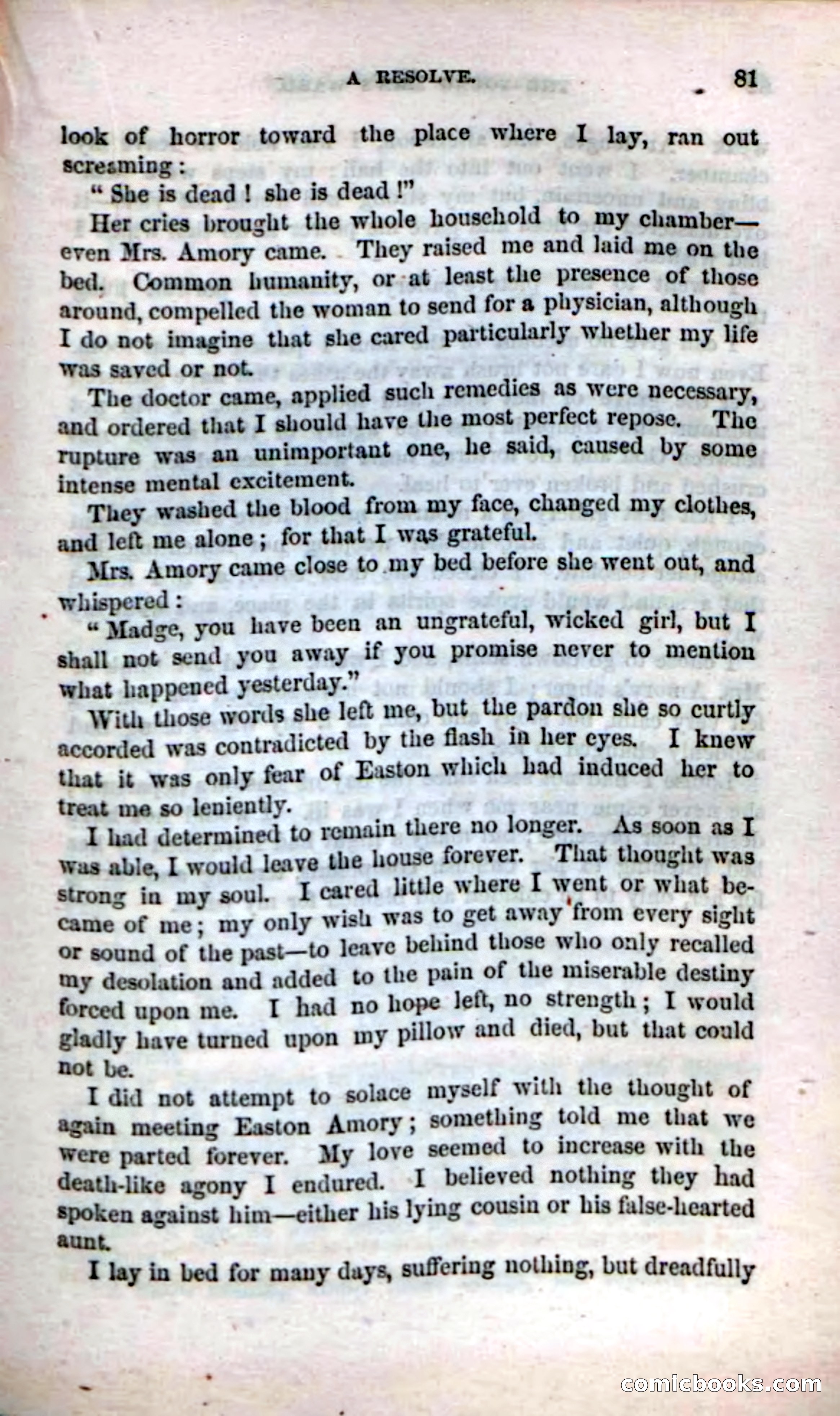 Beadle's Dime Novels No. 17 — page 83 of 132