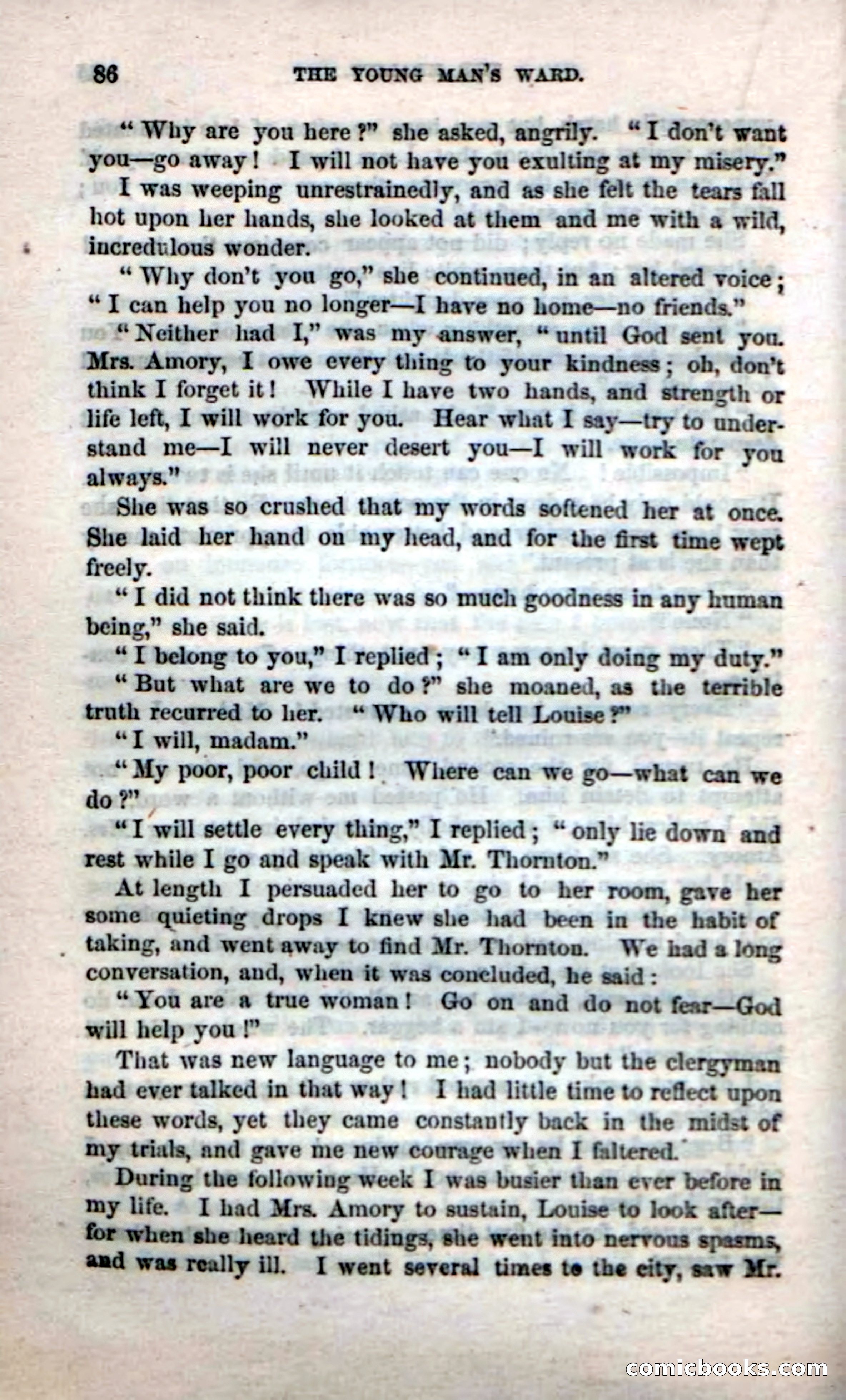 Beadle's Dime Novels No. 17 — page 88 of 132