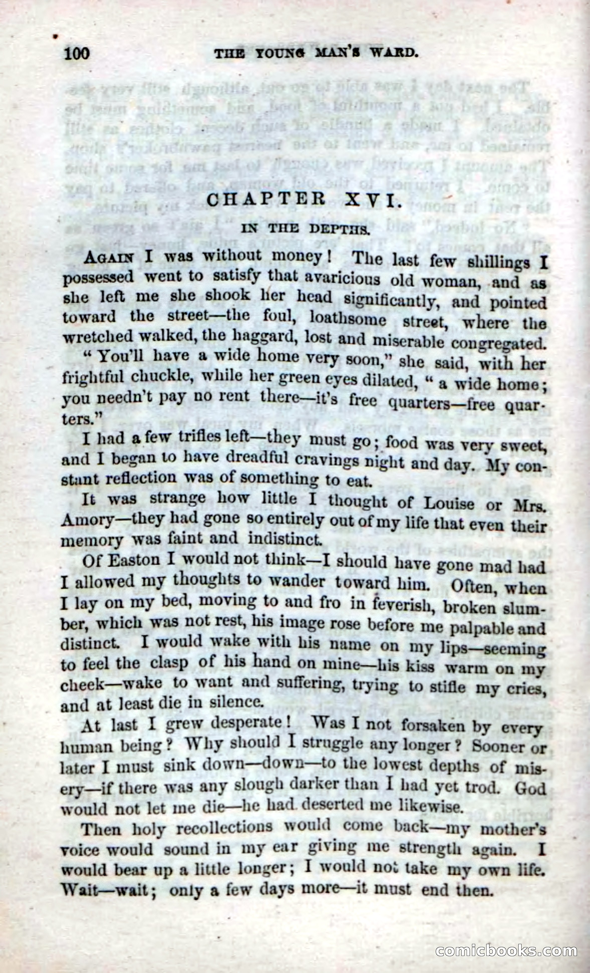 Beadle's Dime Novels No. 17 — page 102 of 132