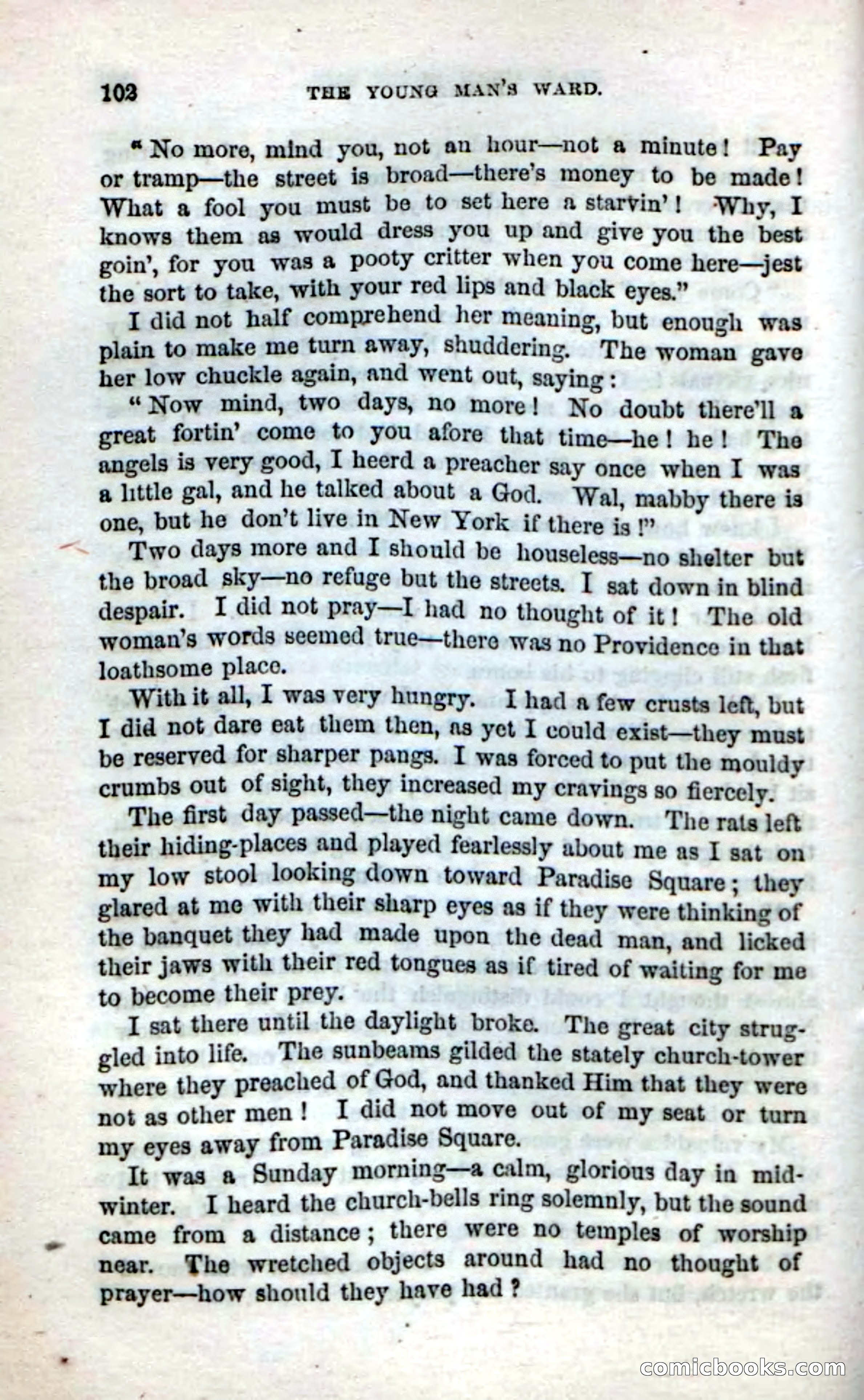 Beadle's Dime Novels No. 17 — page 104 of 132