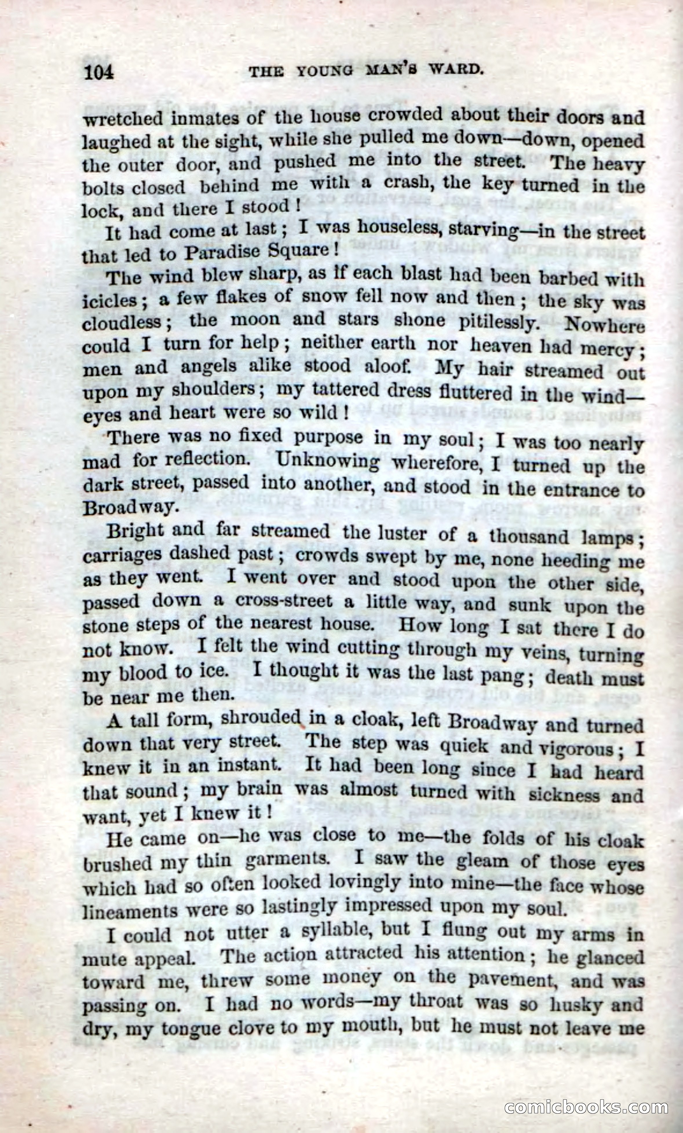 Beadle's Dime Novels No. 17 — page 106 of 132