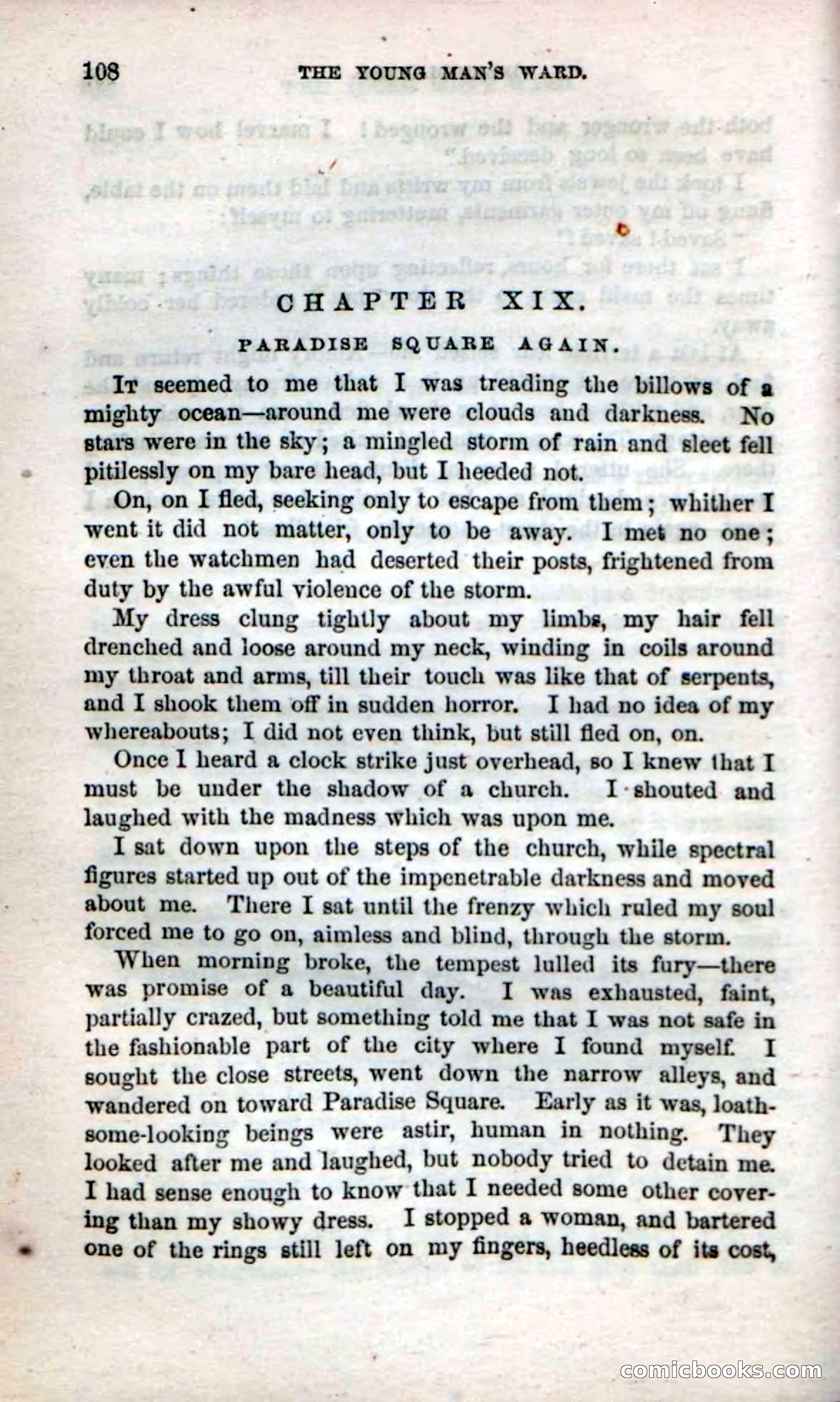 Beadle's Dime Novels No. 17 — page 110 of 132