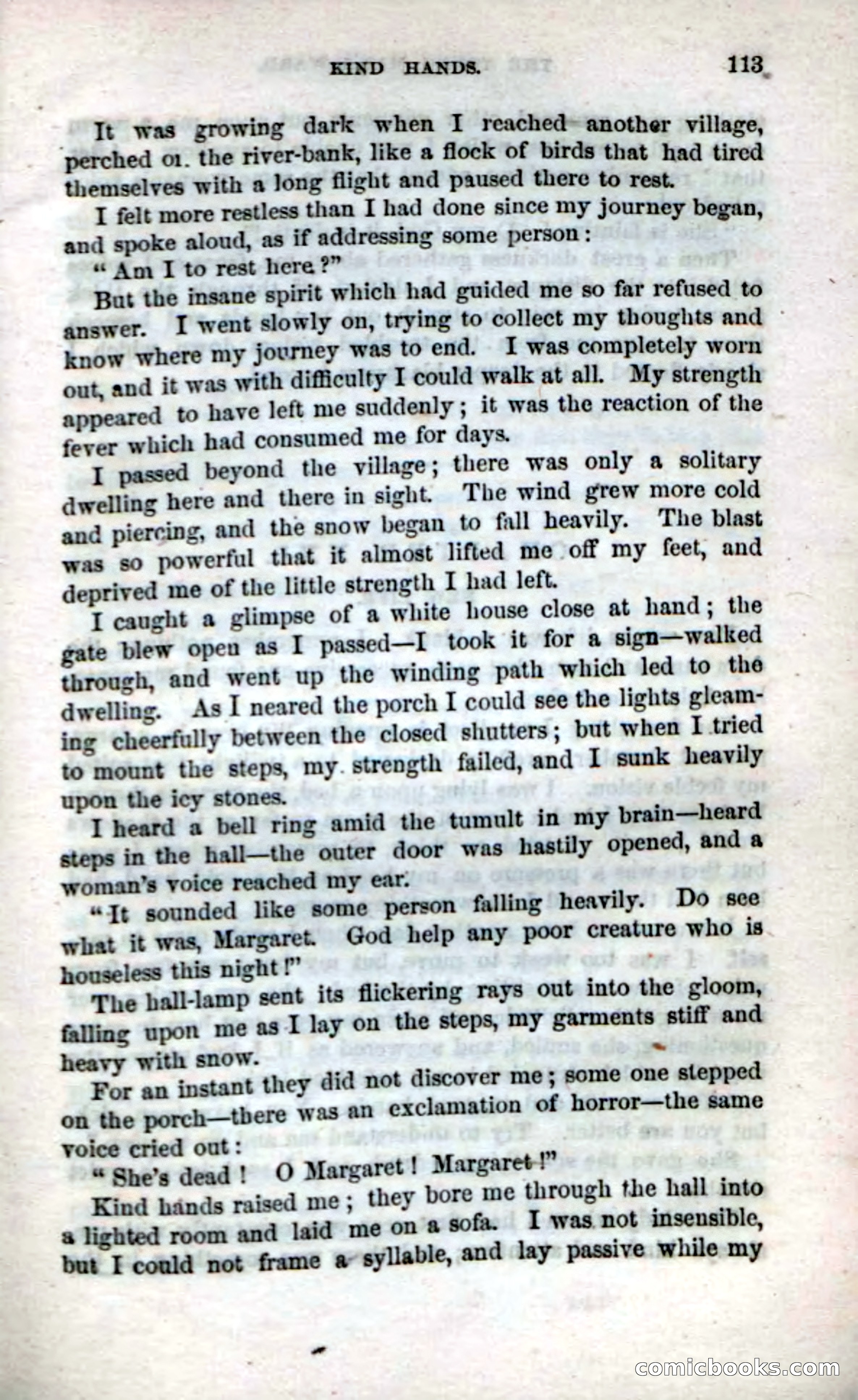Beadle's Dime Novels No. 17 — page 115 of 132