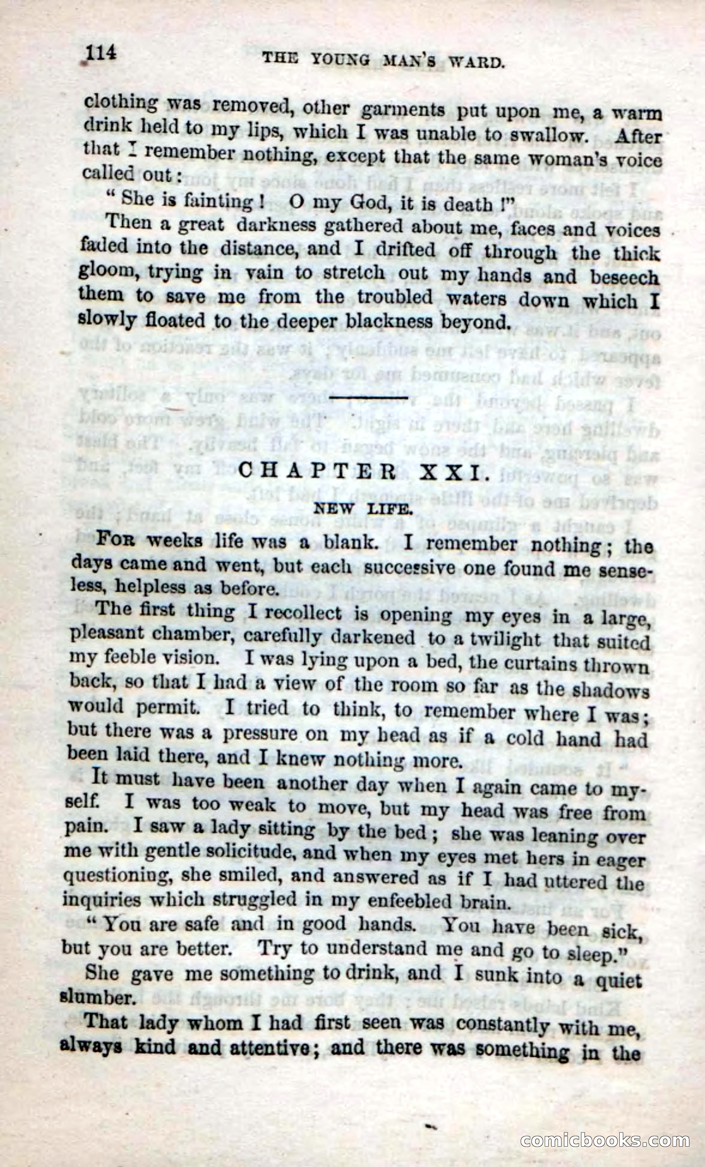 Beadle's Dime Novels No. 17 — page 116 of 132
