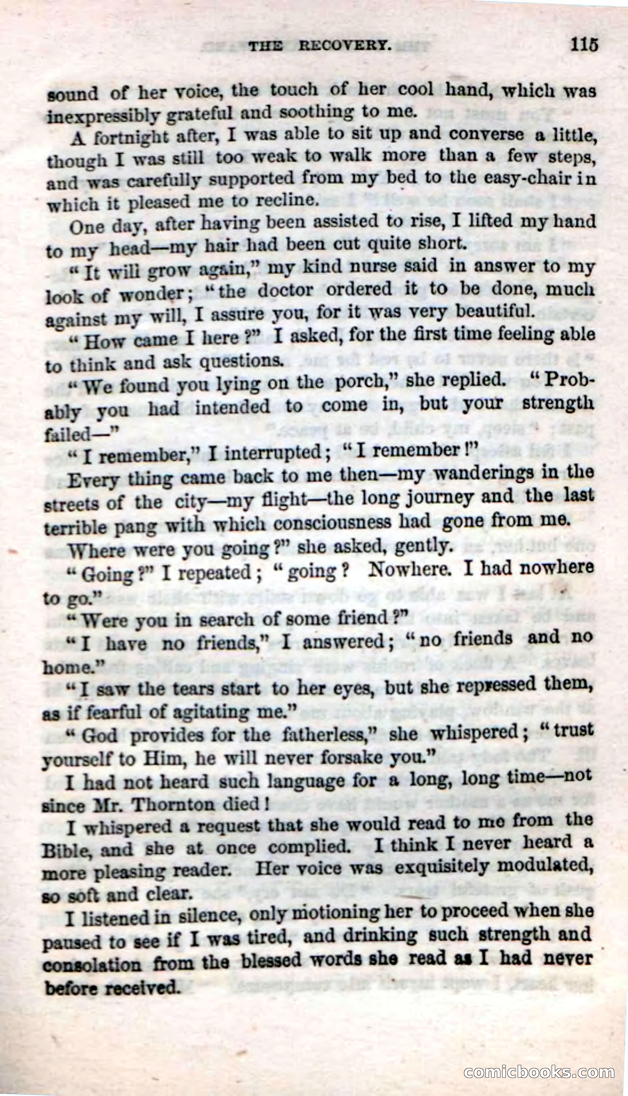 Beadle's Dime Novels No. 17 — page 117 of 132