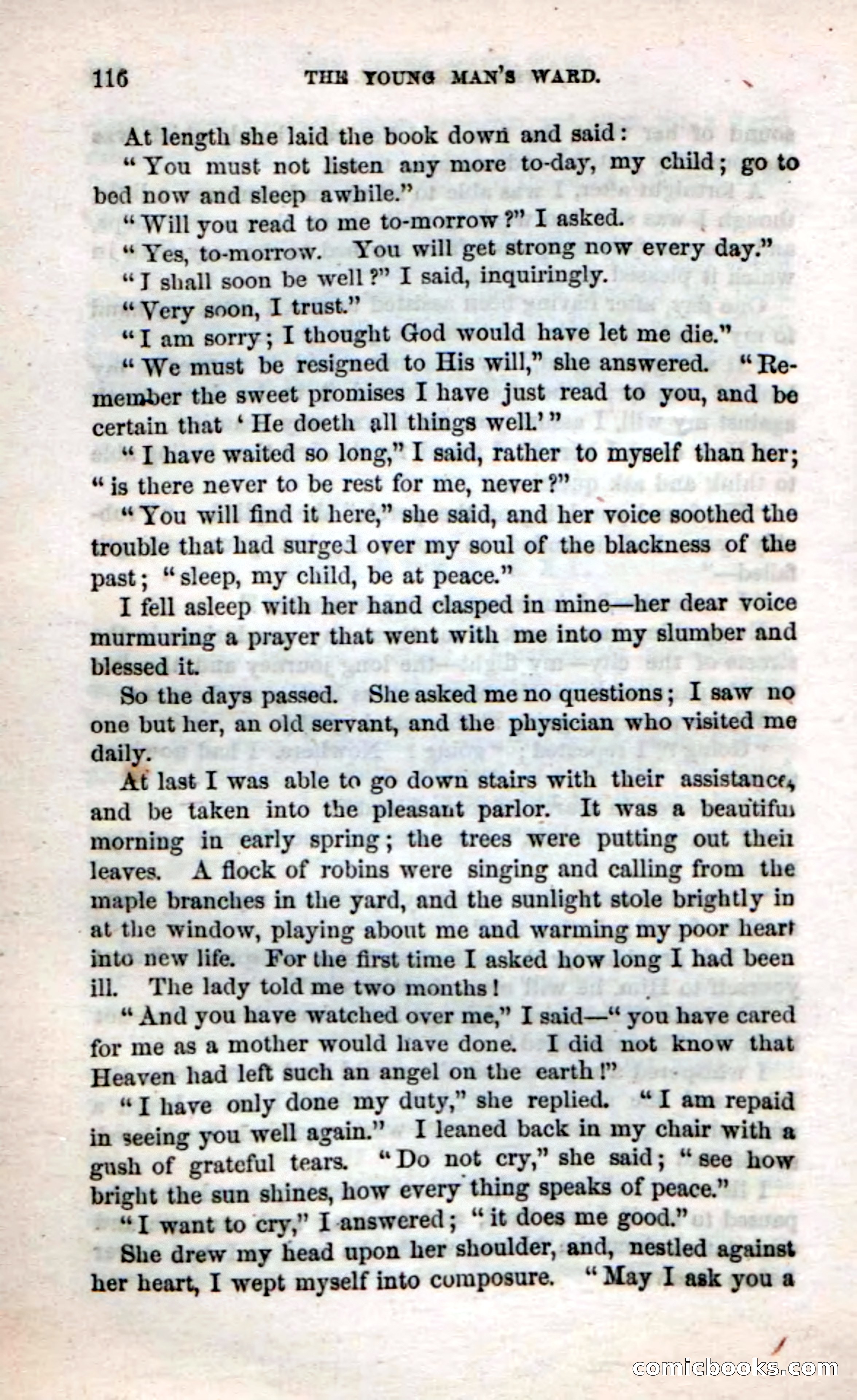 Beadle's Dime Novels No. 17 — page 118 of 132