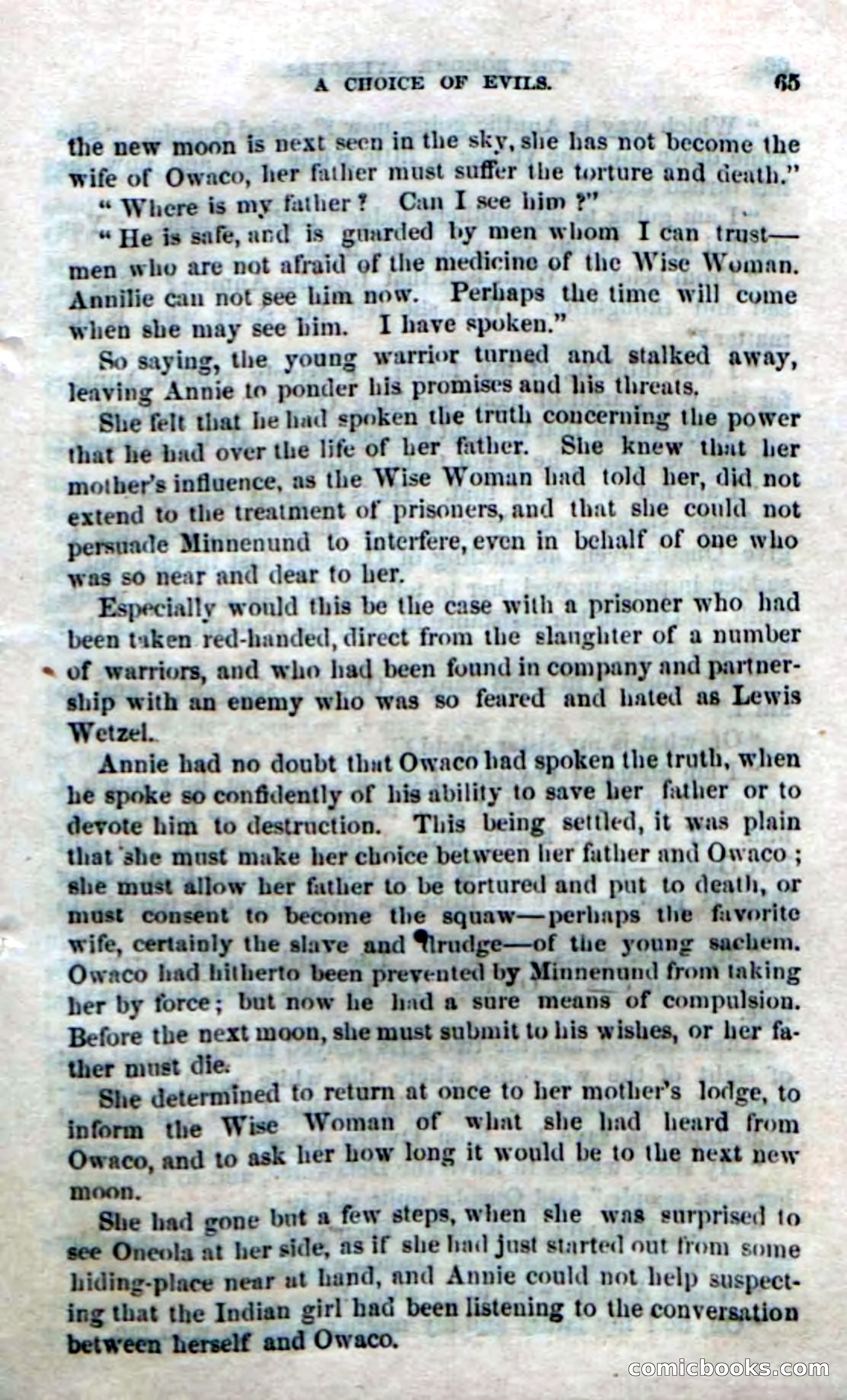 Beadle's Dime Novels No. 170: The Border Avengers — page 63 of 100