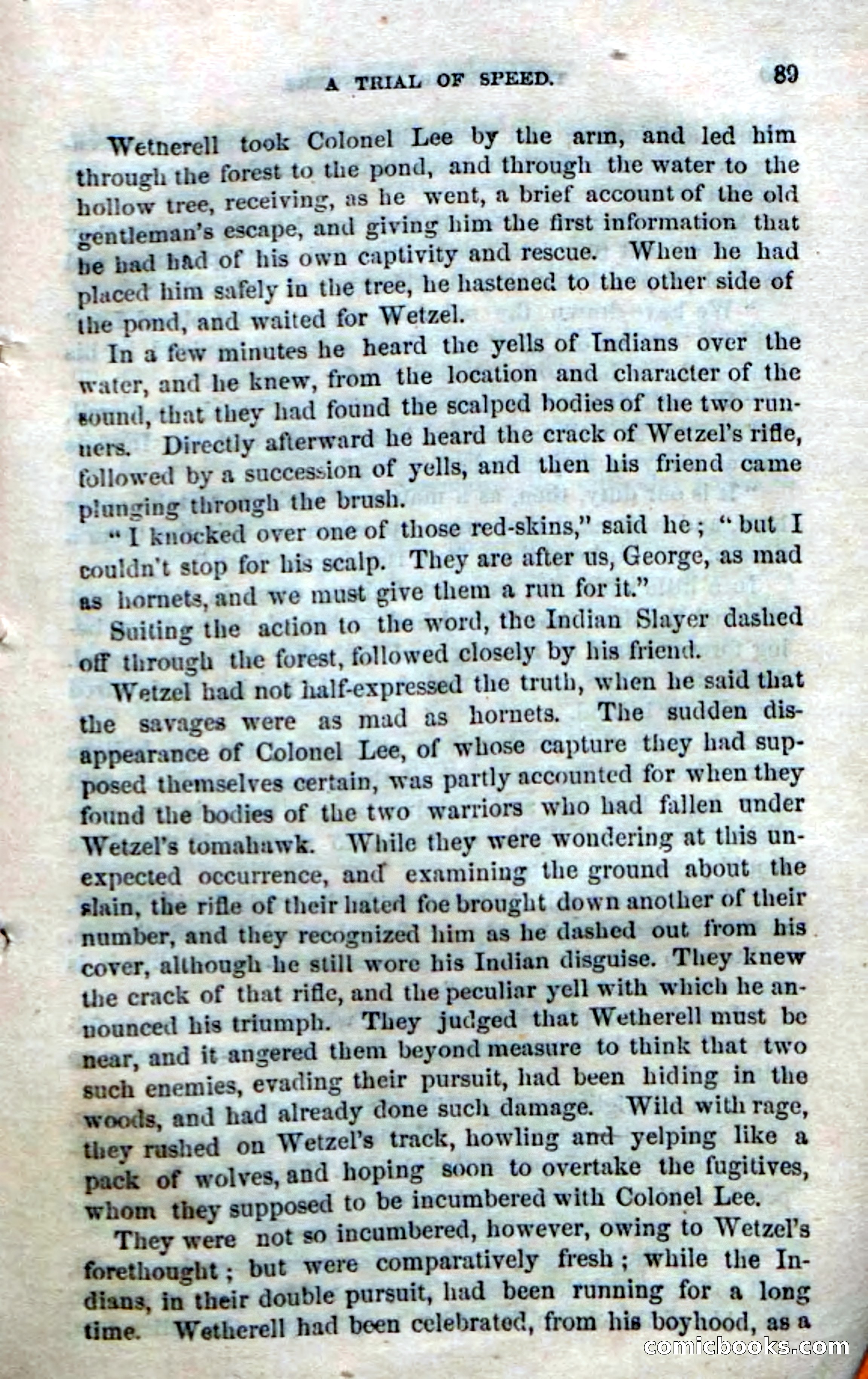 Beadle's Dime Novels No. 170: The Border Avengers — page 87 of 100
