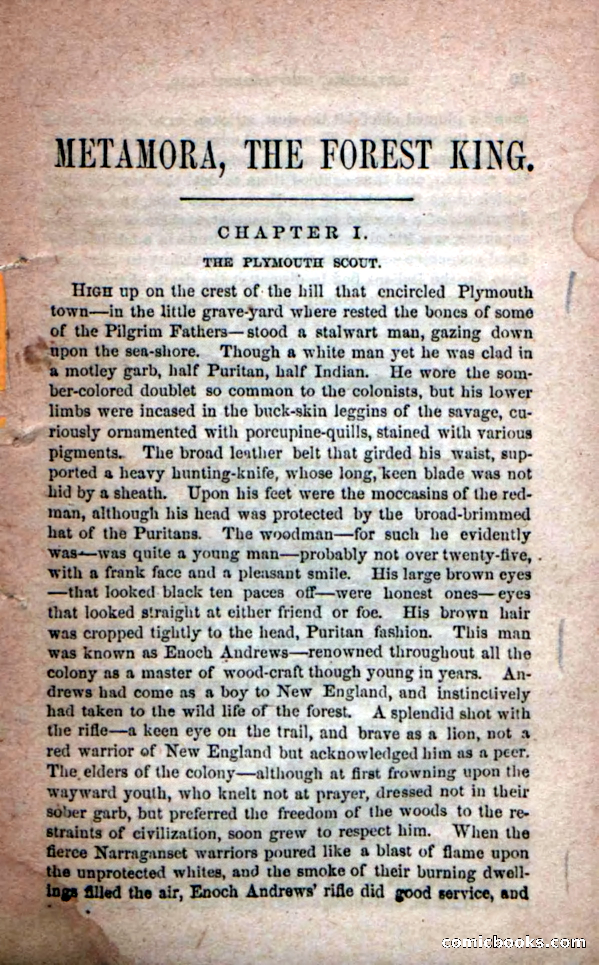 Beadle's Dime Novels No. 204: Metamora; or, The Forest King — page 7 of 98