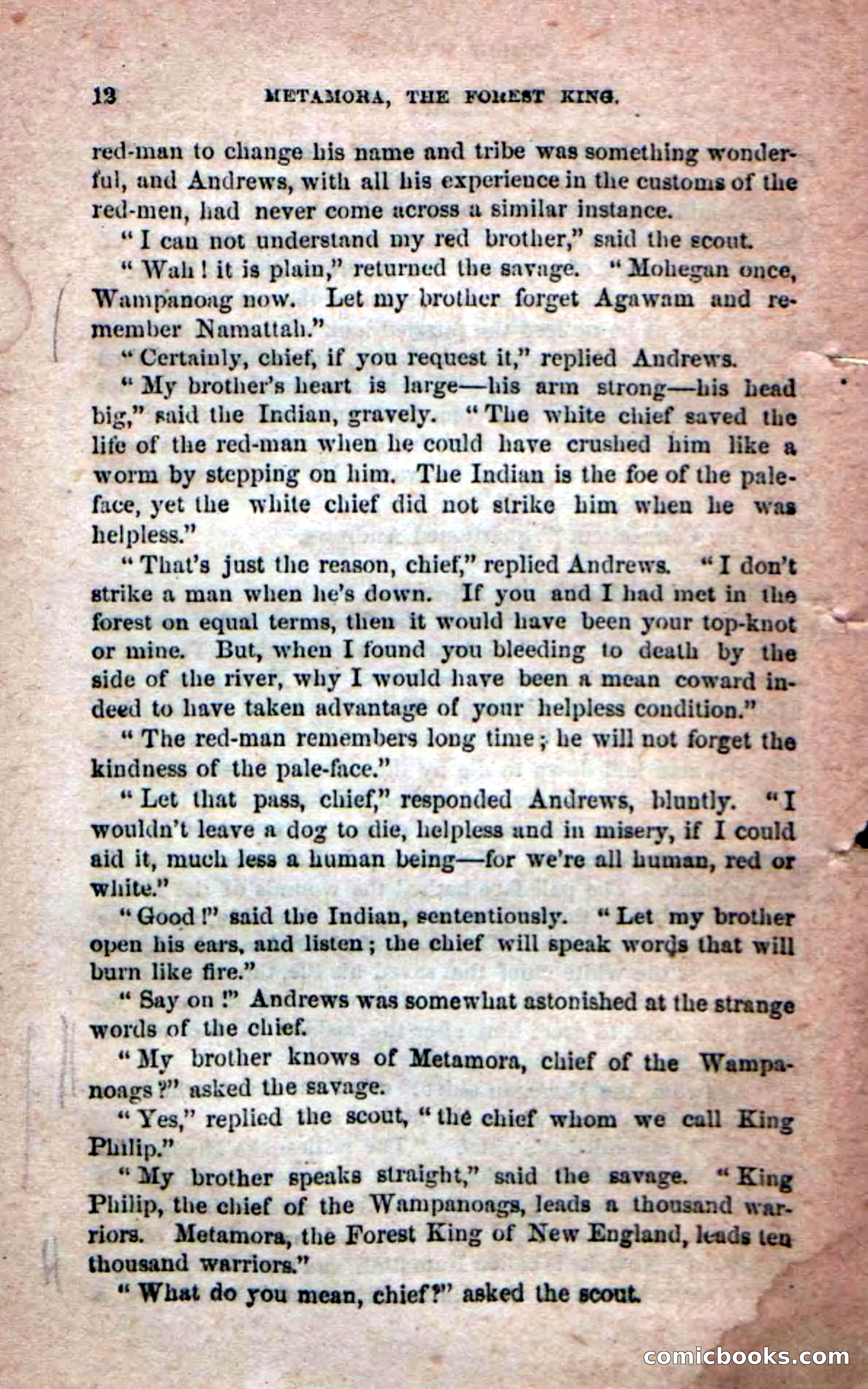 Beadle's Dime Novels No. 204: Metamora; or, The Forest King — page 10 of 98