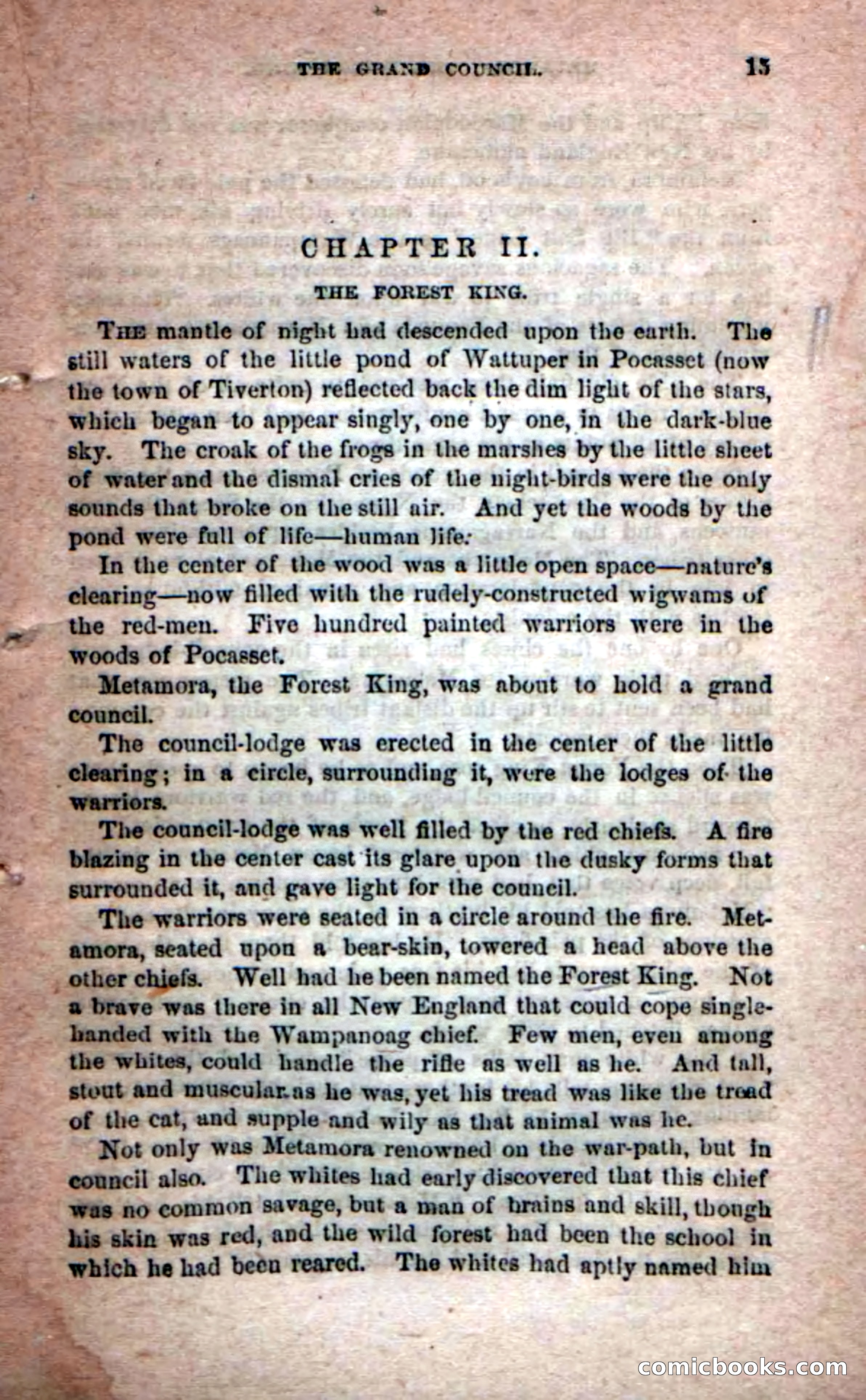 Beadle's Dime Novels No. 204: Metamora; or, The Forest King — page 13 of 98