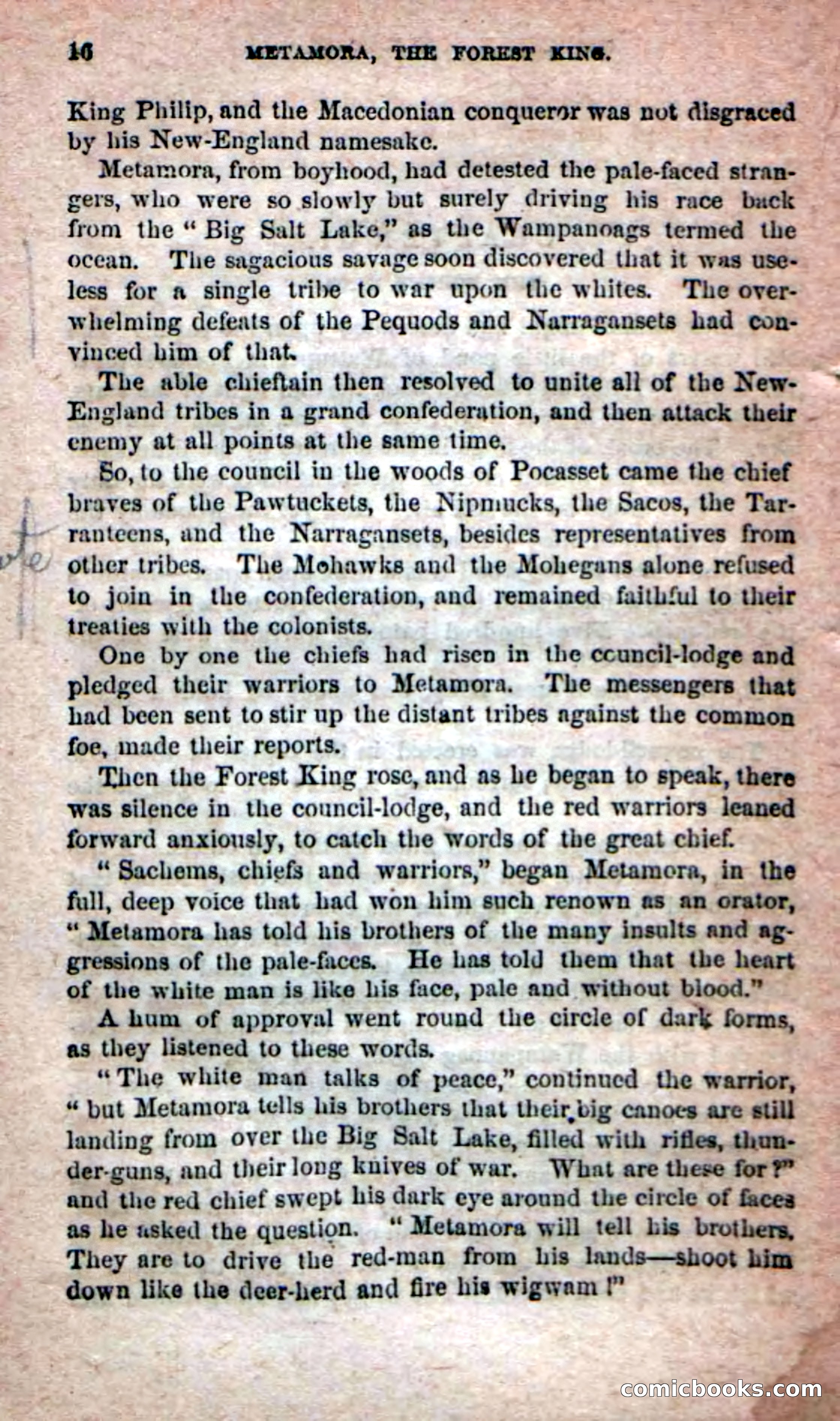 Beadle's Dime Novels No. 204: Metamora; or, The Forest King — page 14 of 98