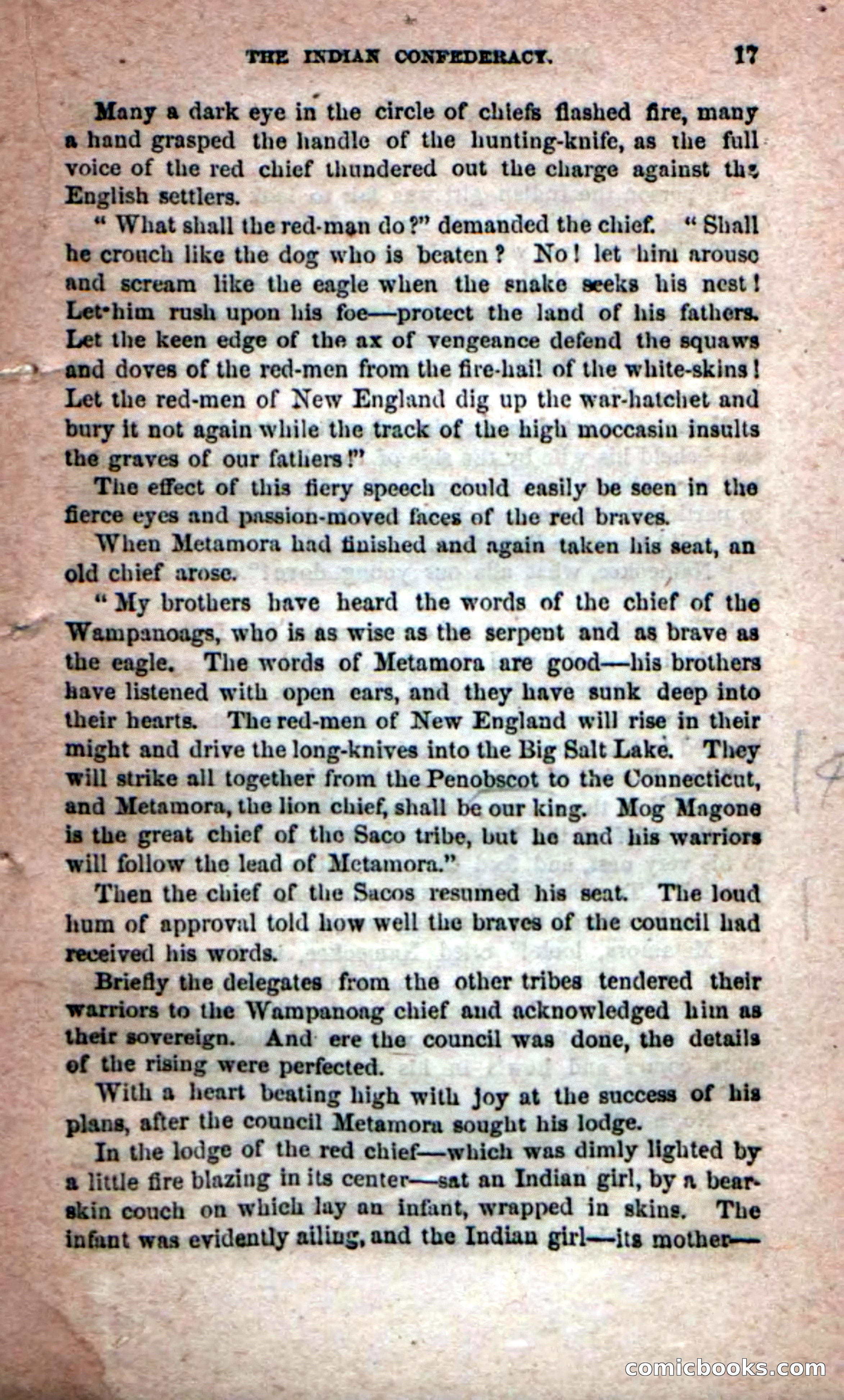 Beadle's Dime Novels No. 204: Metamora; or, The Forest King — page 15 of 98