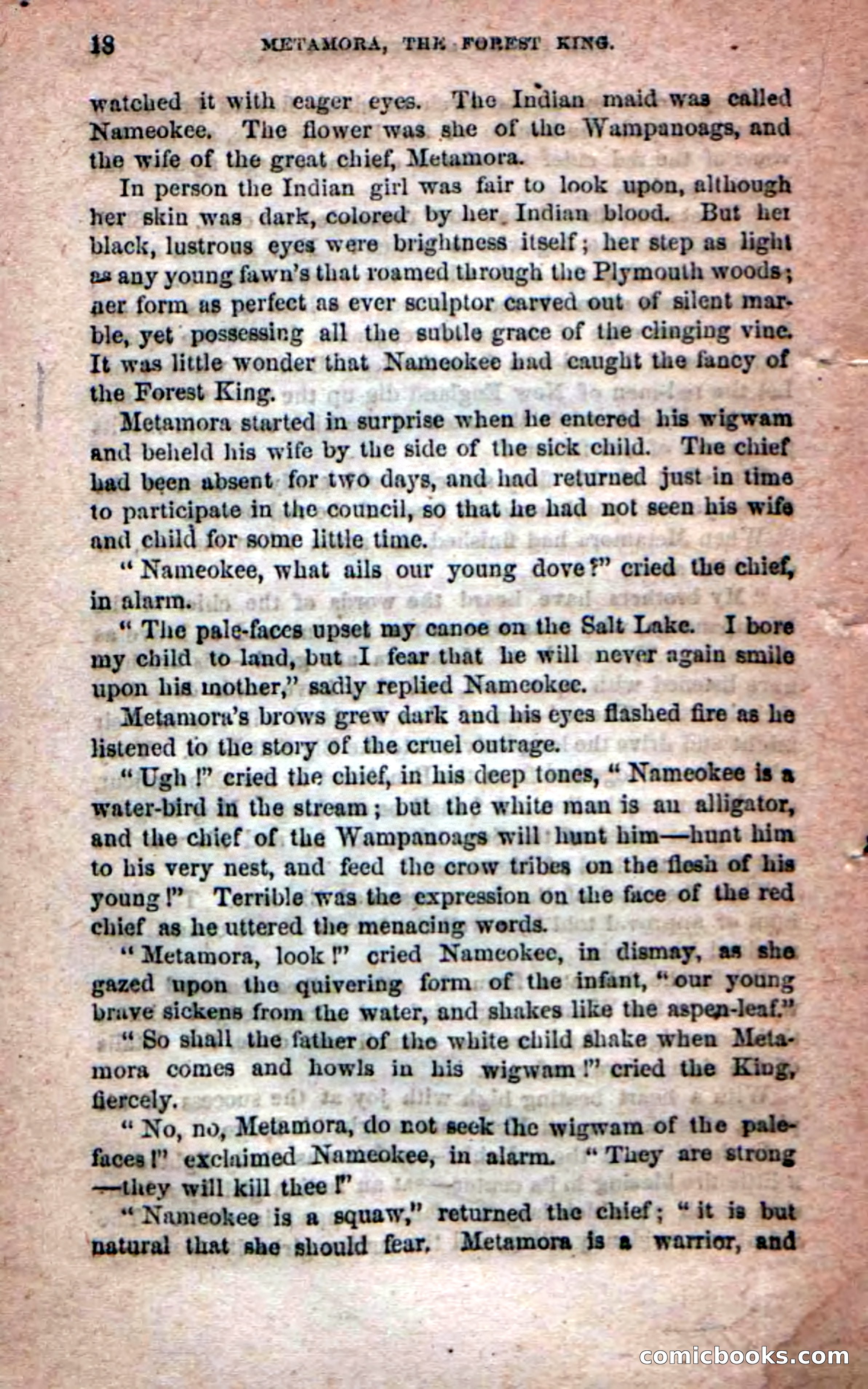 Beadle's Dime Novels No. 204: Metamora; or, The Forest King — page 16 of 98