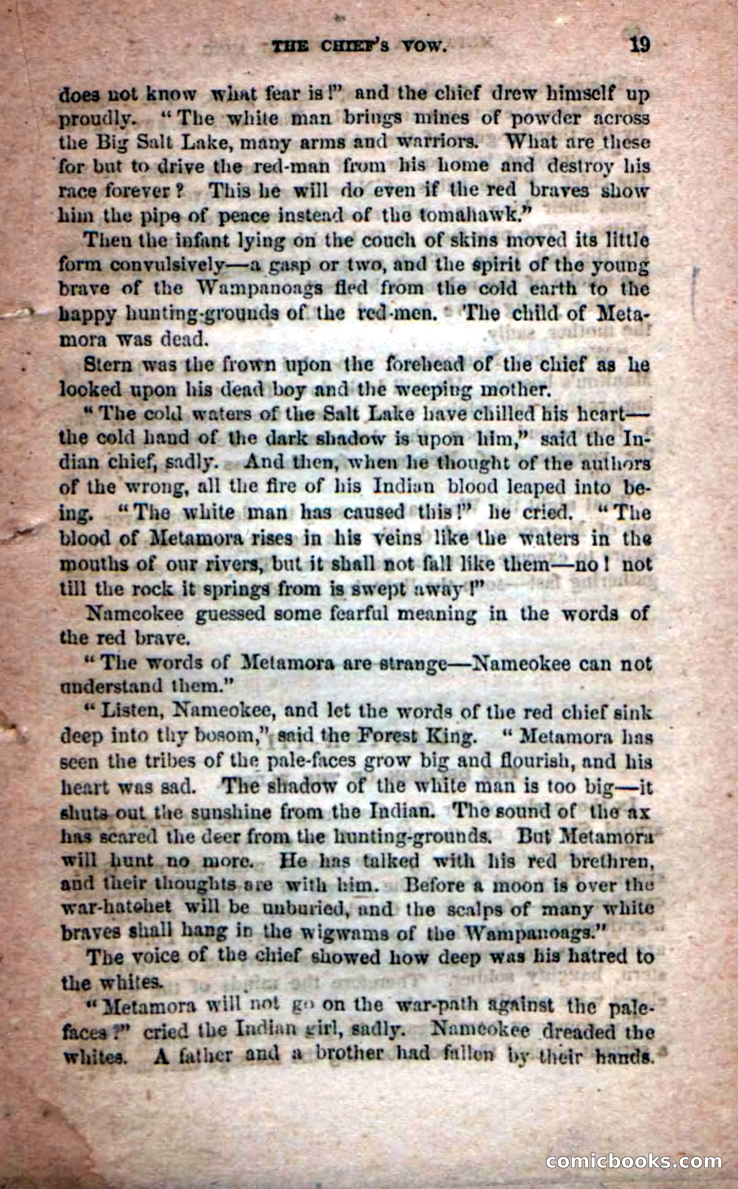 Beadle's Dime Novels No. 204: Metamora; or, The Forest King — page 17 of 98