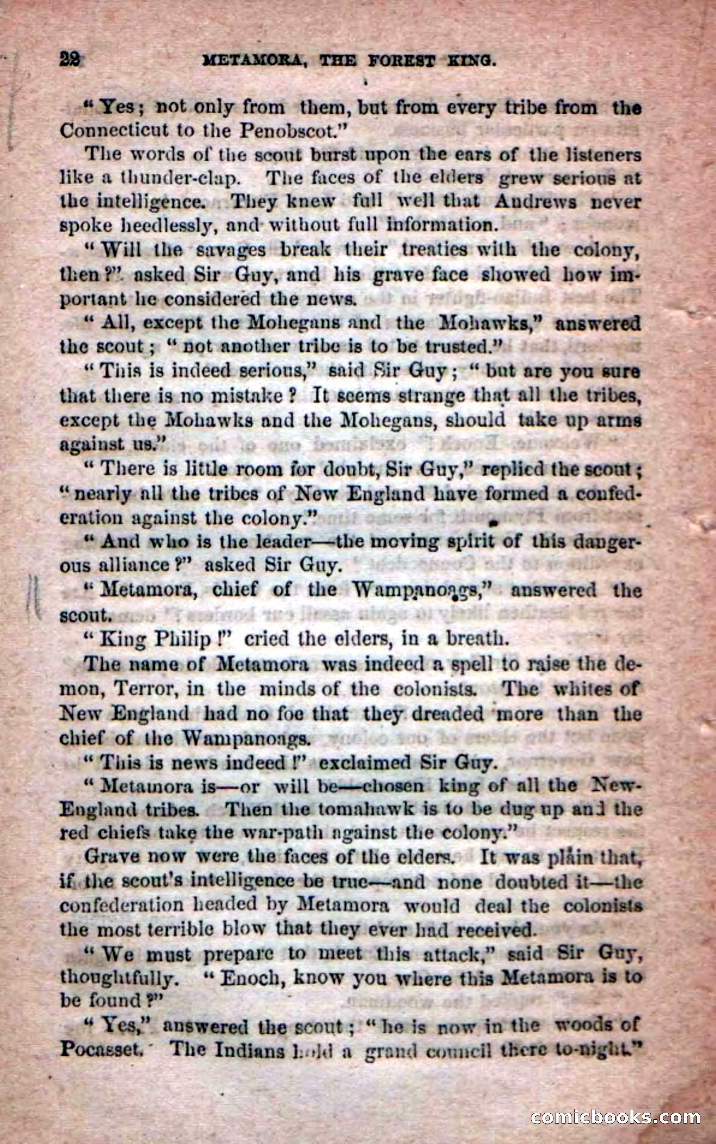 Beadle's Dime Novels No. 204: Metamora; or, The Forest King — page 20 of 98