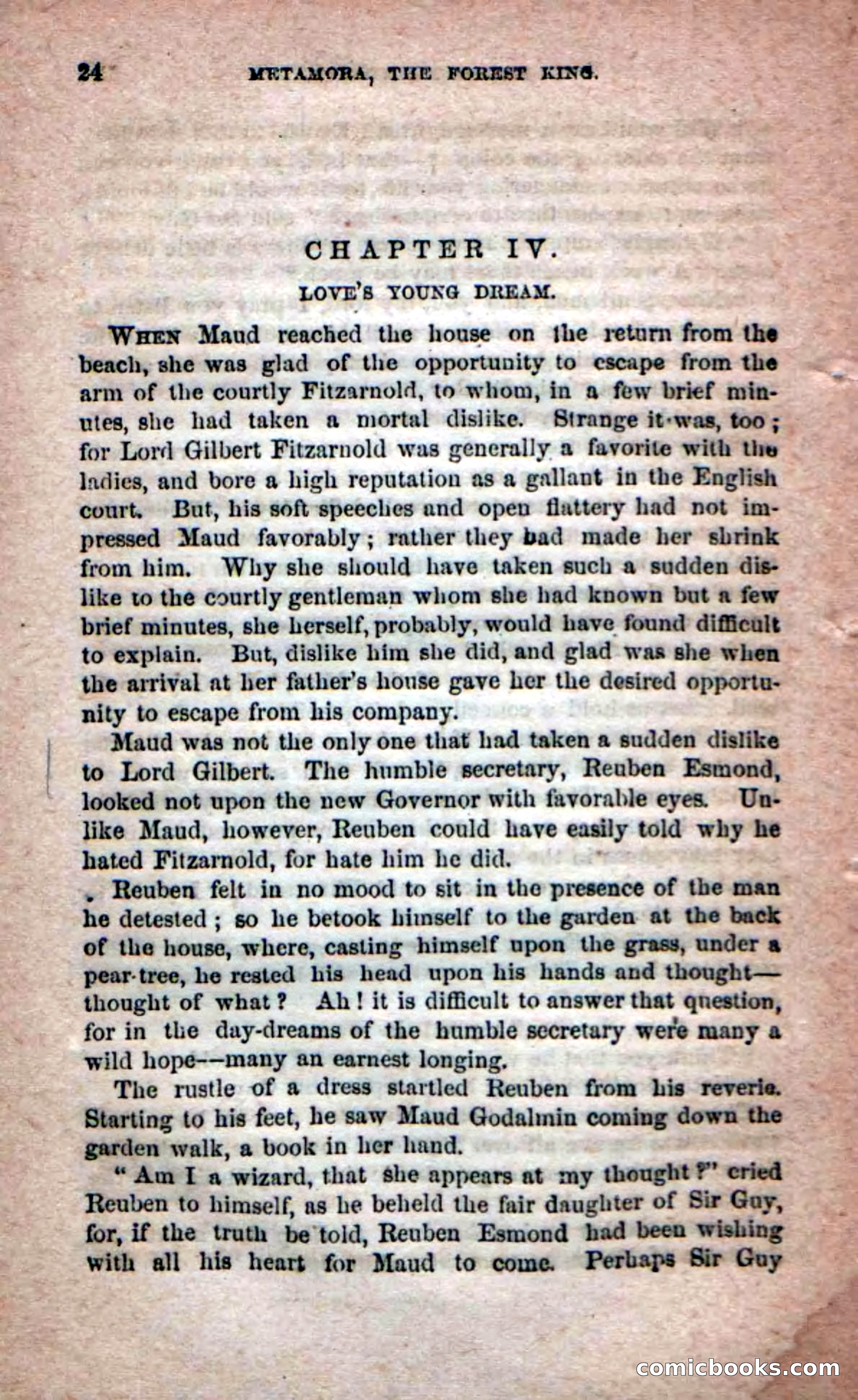 Beadle's Dime Novels No. 204: Metamora; or, The Forest King — page 22 of 98