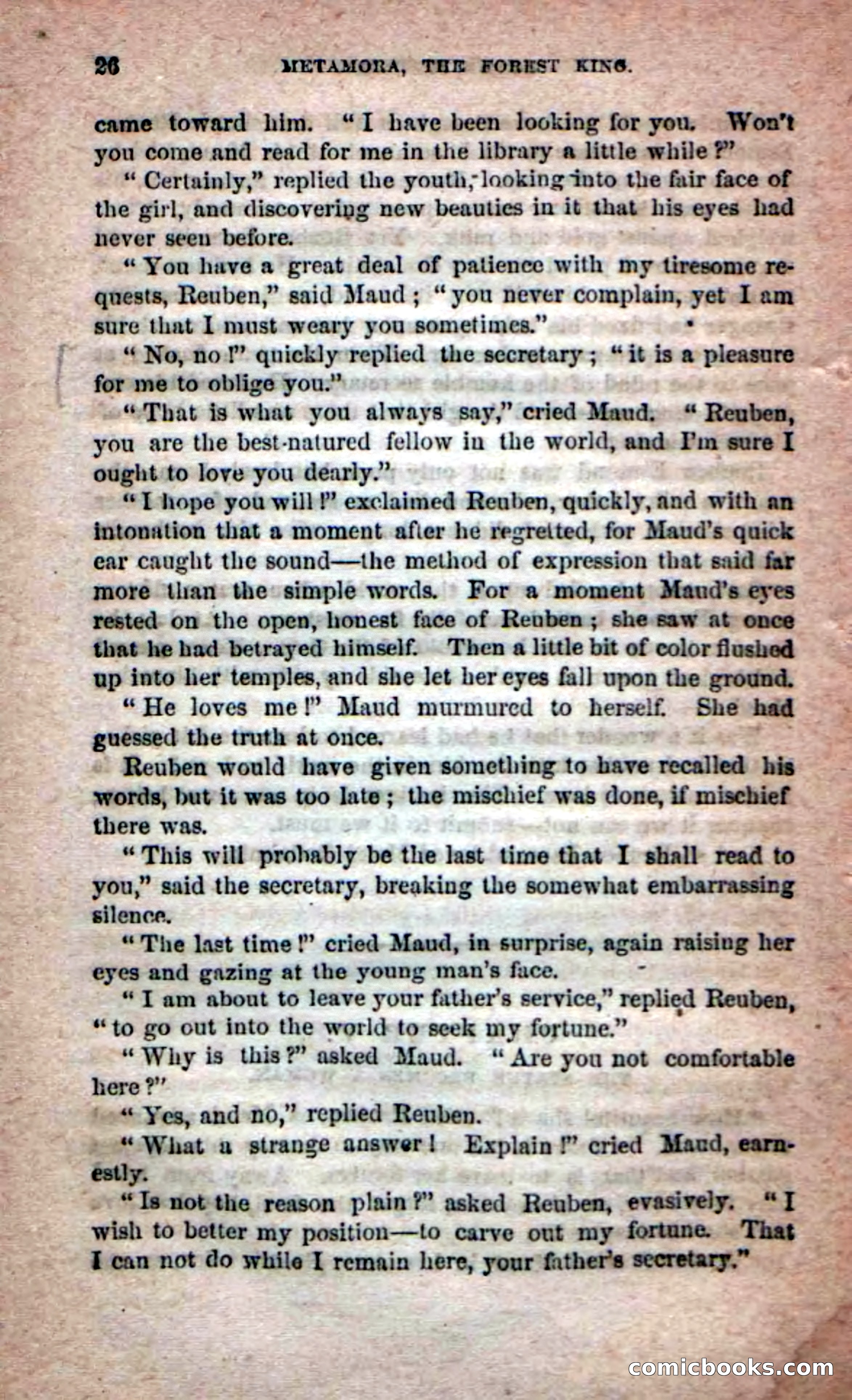 Beadle's Dime Novels No. 204: Metamora; or, The Forest King — page 24 of 98