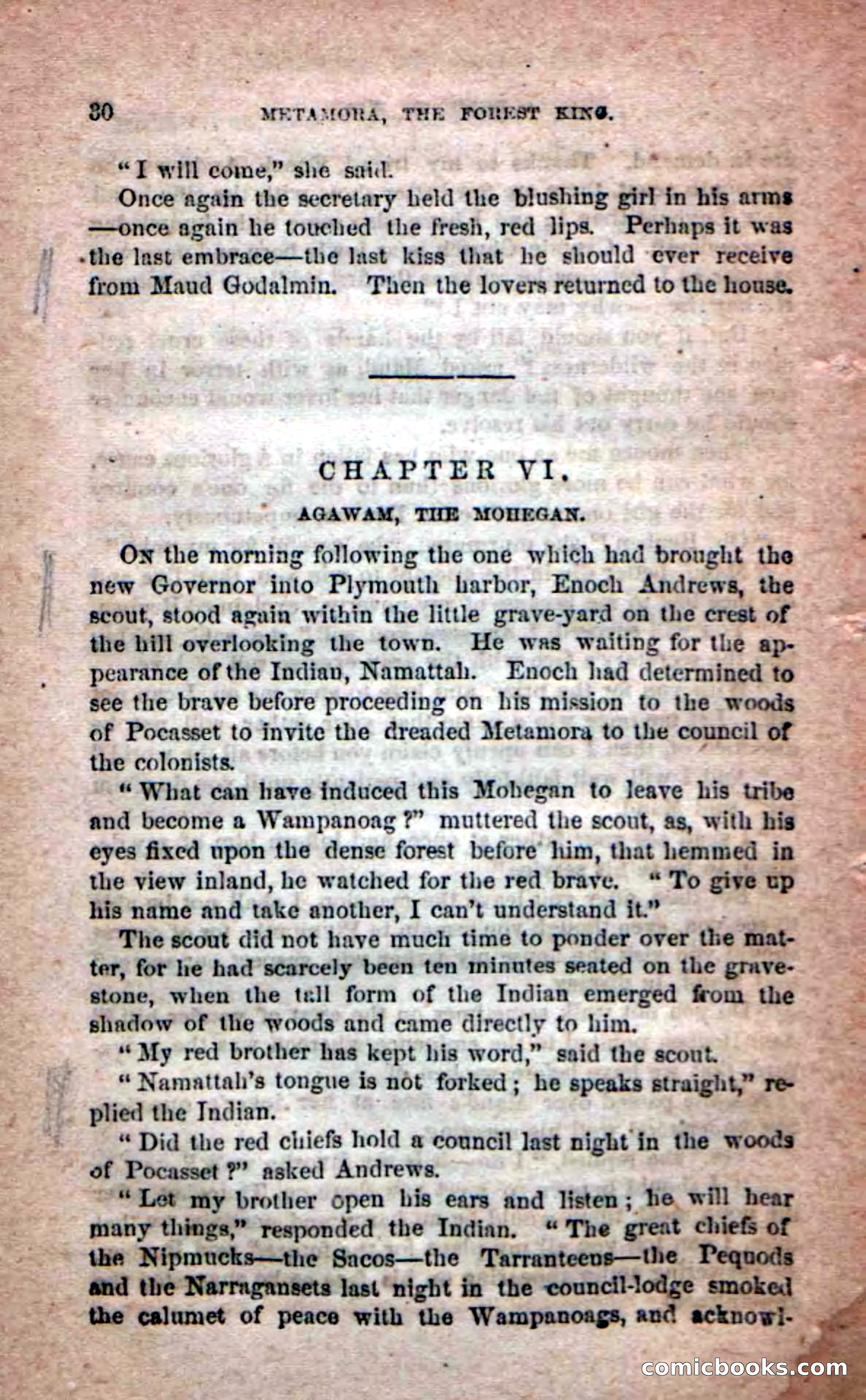Beadle's Dime Novels No. 204: Metamora; or, The Forest King — page 28 of 98