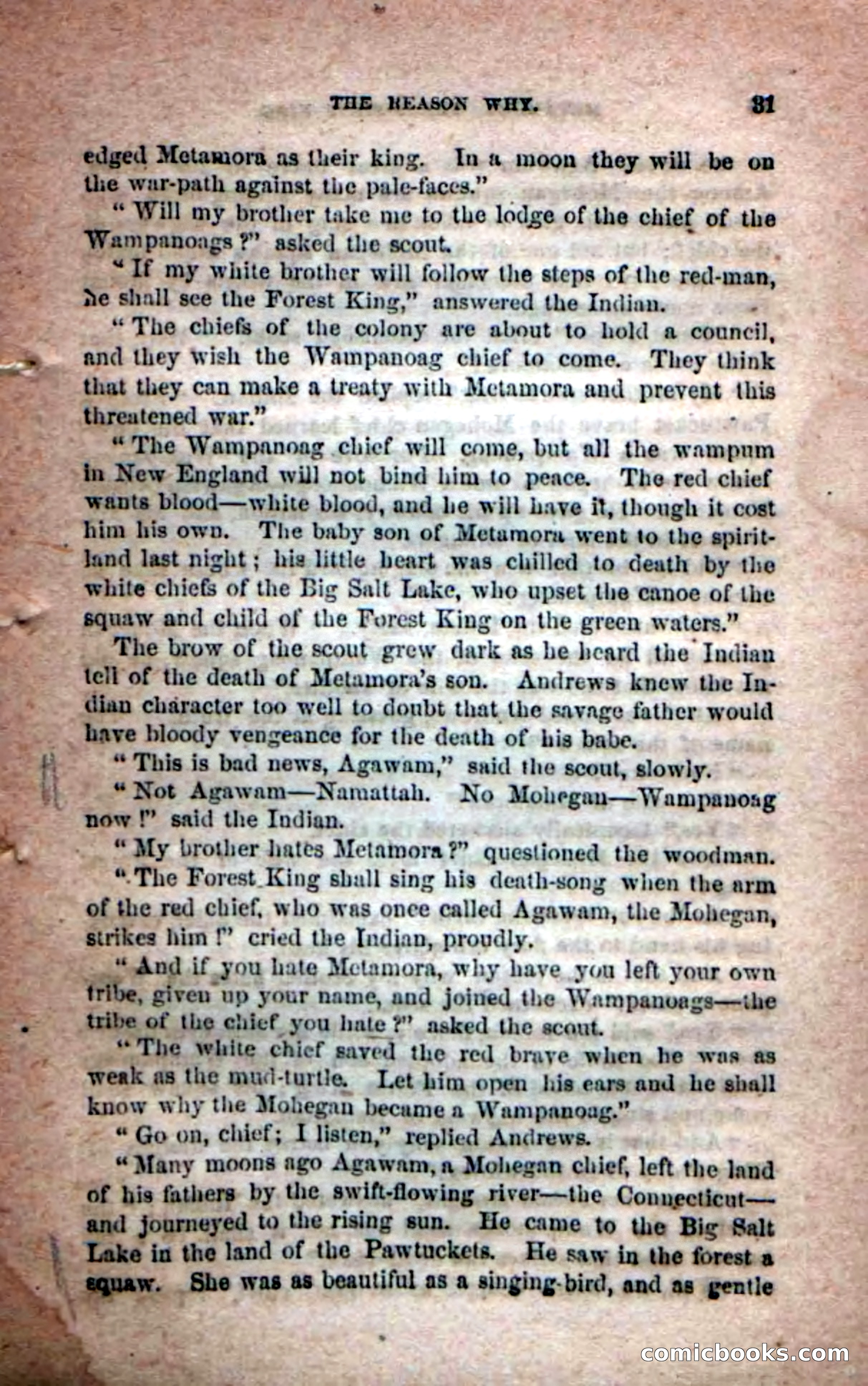 Beadle's Dime Novels No. 204: Metamora; or, The Forest King — page 29 of 98