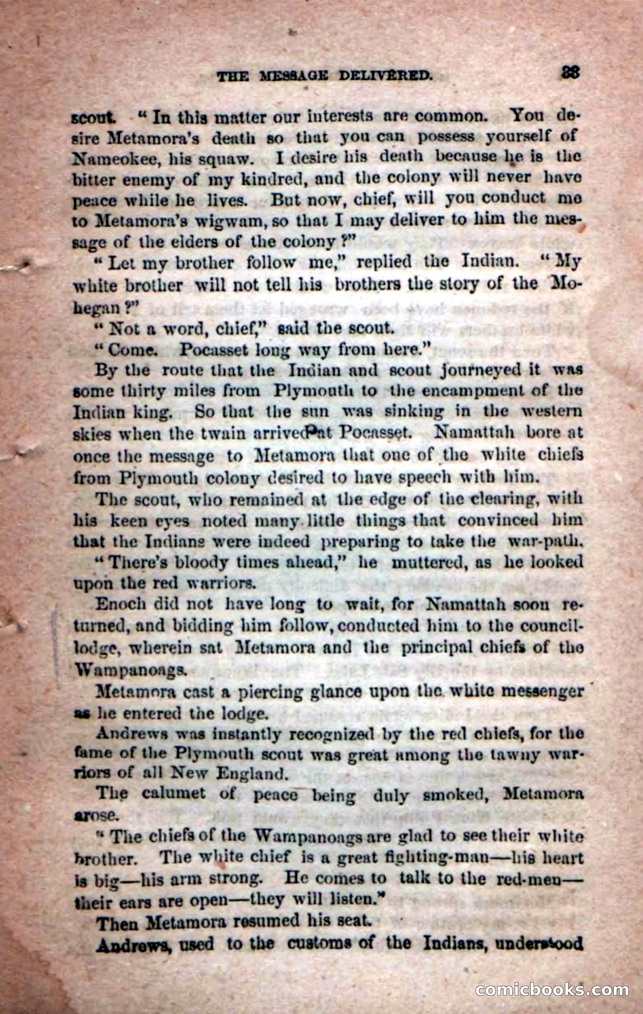 Beadle's Dime Novels No. 204: Metamora; or, The Forest King — page 31 of 98