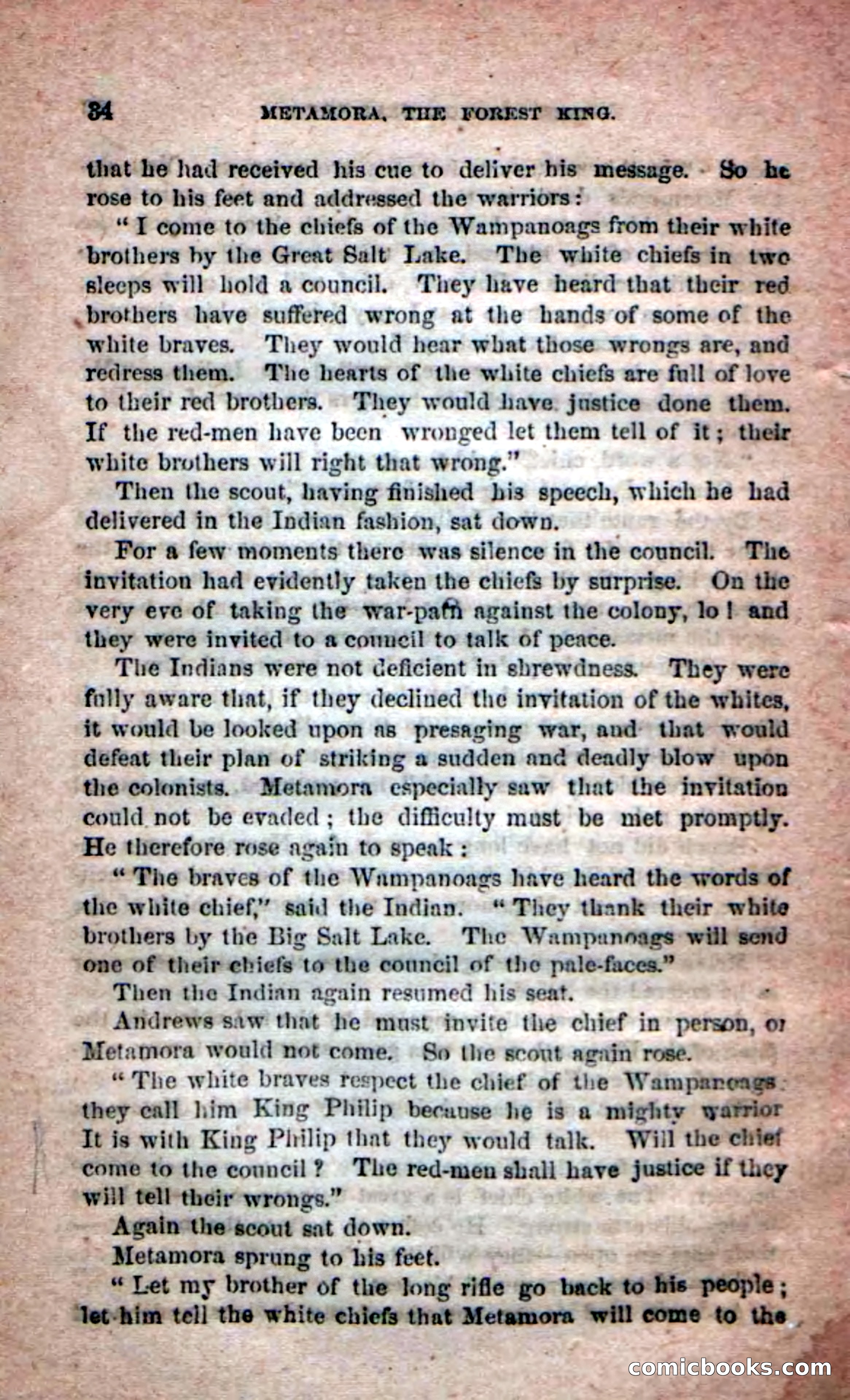 Beadle's Dime Novels No. 204: Metamora; or, The Forest King — page 32 of 98